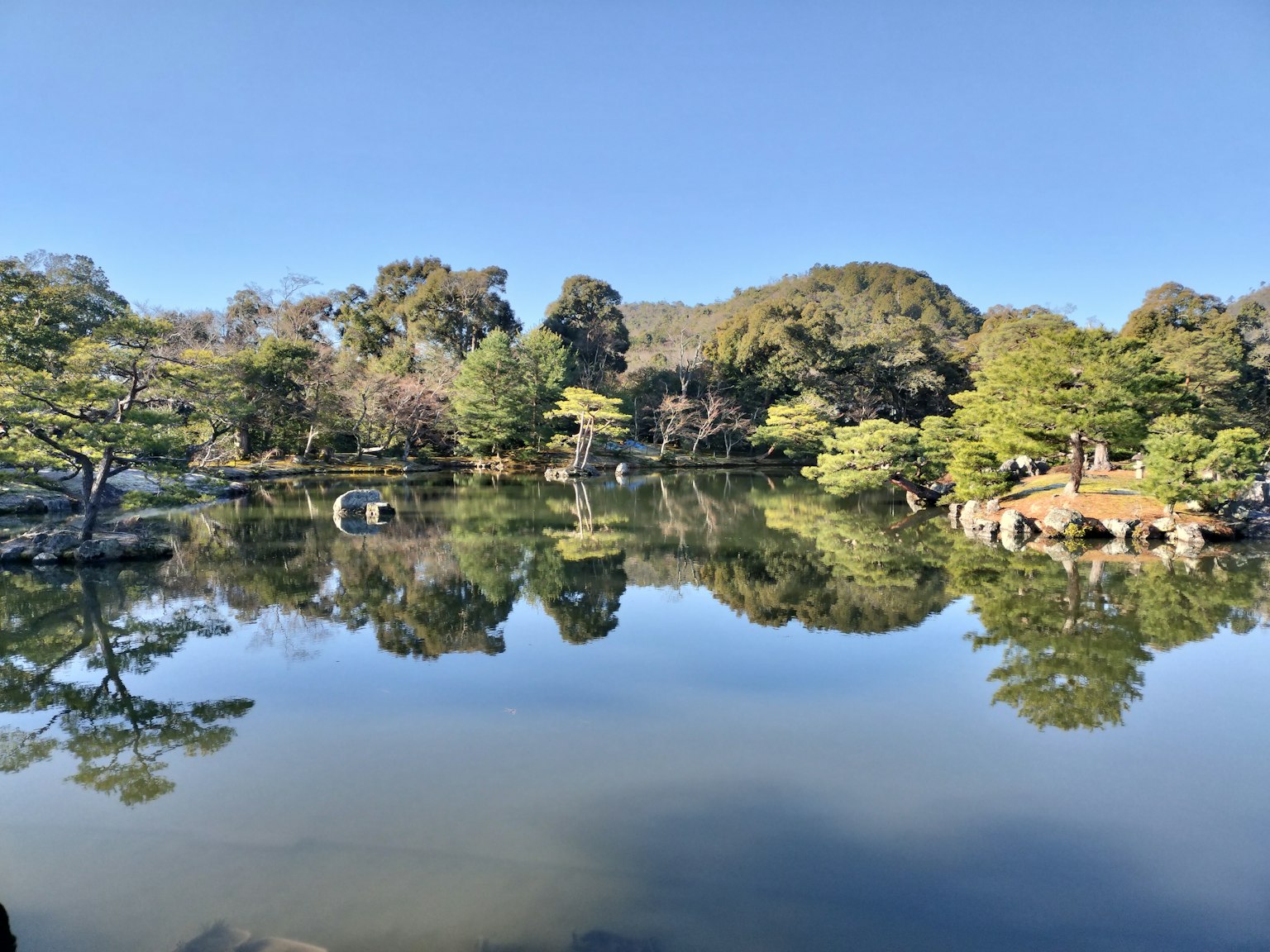 Pemandangan tenang dengan pepohonan hijau subur dan langit biru yang terpantul di air tenang