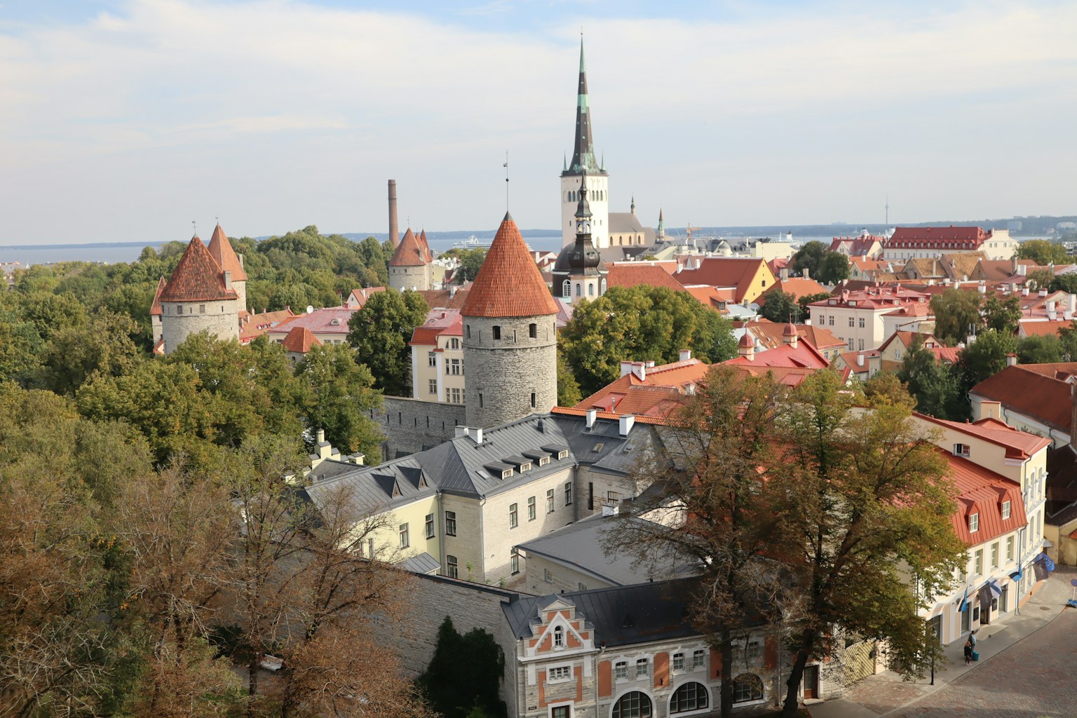 Schöner Blick auf die Altstadt von Tallinn in Estland mit historischen Gebäuden und roten Dächern