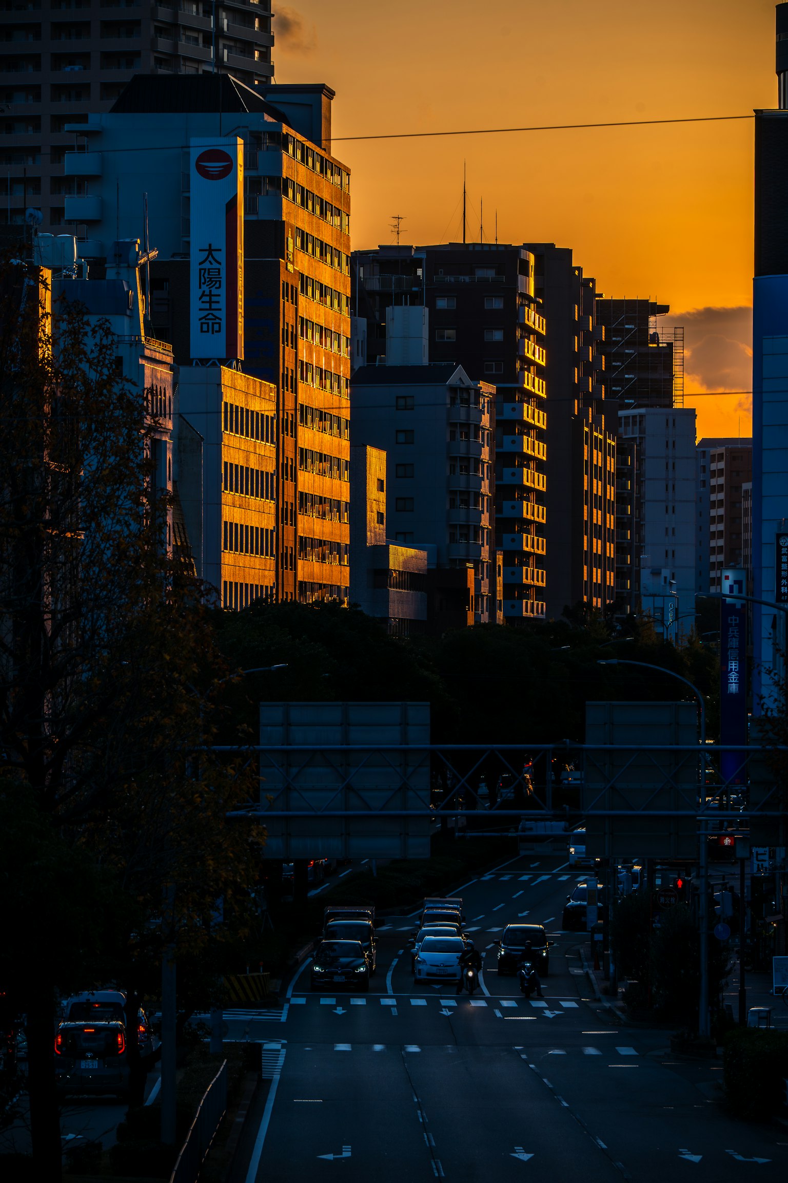 photo-yTEO9t1fp9sy55n00y1q-image