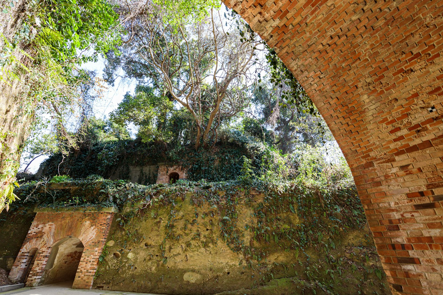 Vista interna di rovine con un muro ad arco in mattoni e vegetazione lussureggiante