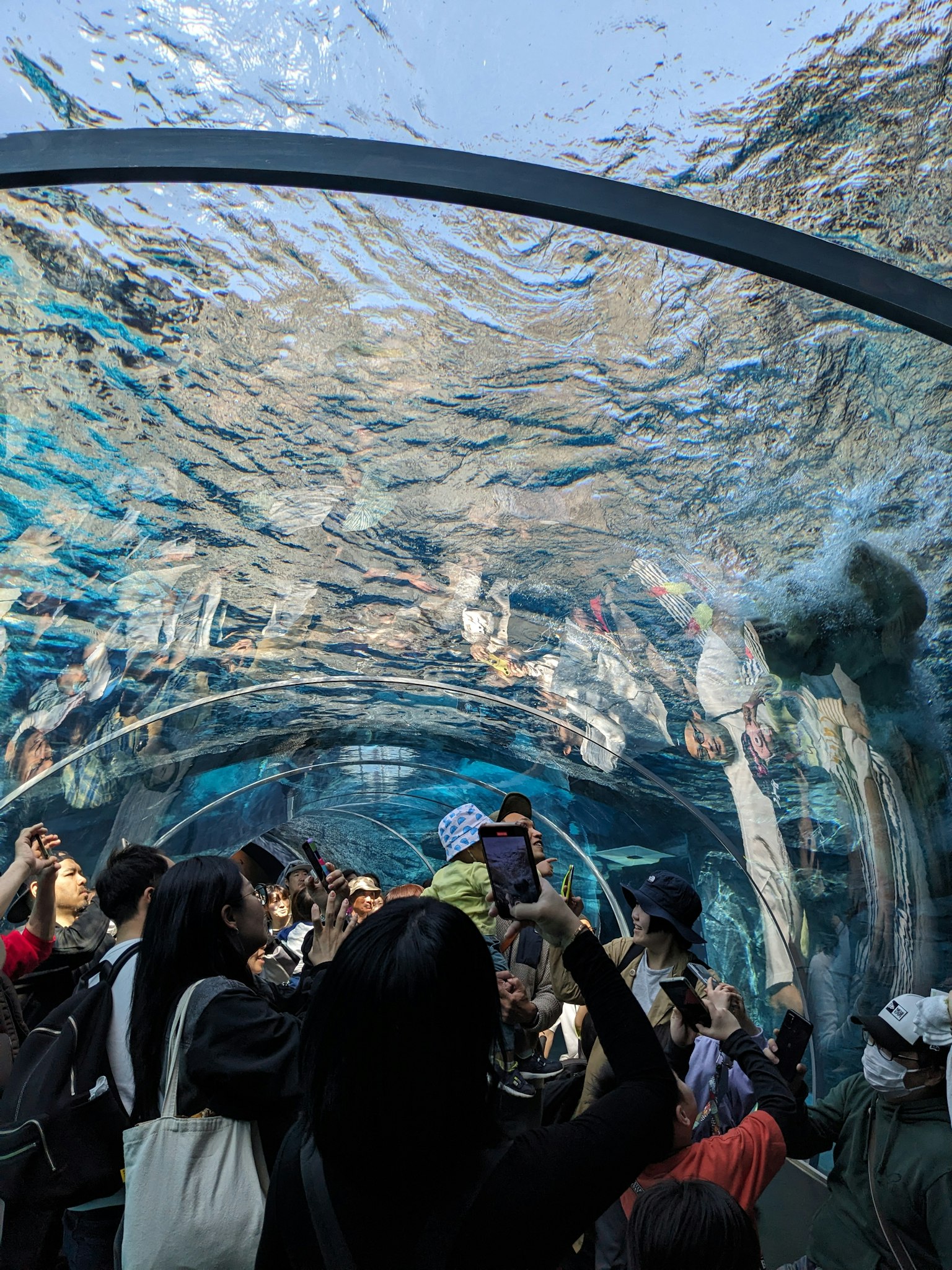 Visitatori che guardano i pesci in un tunnel dell'acquario