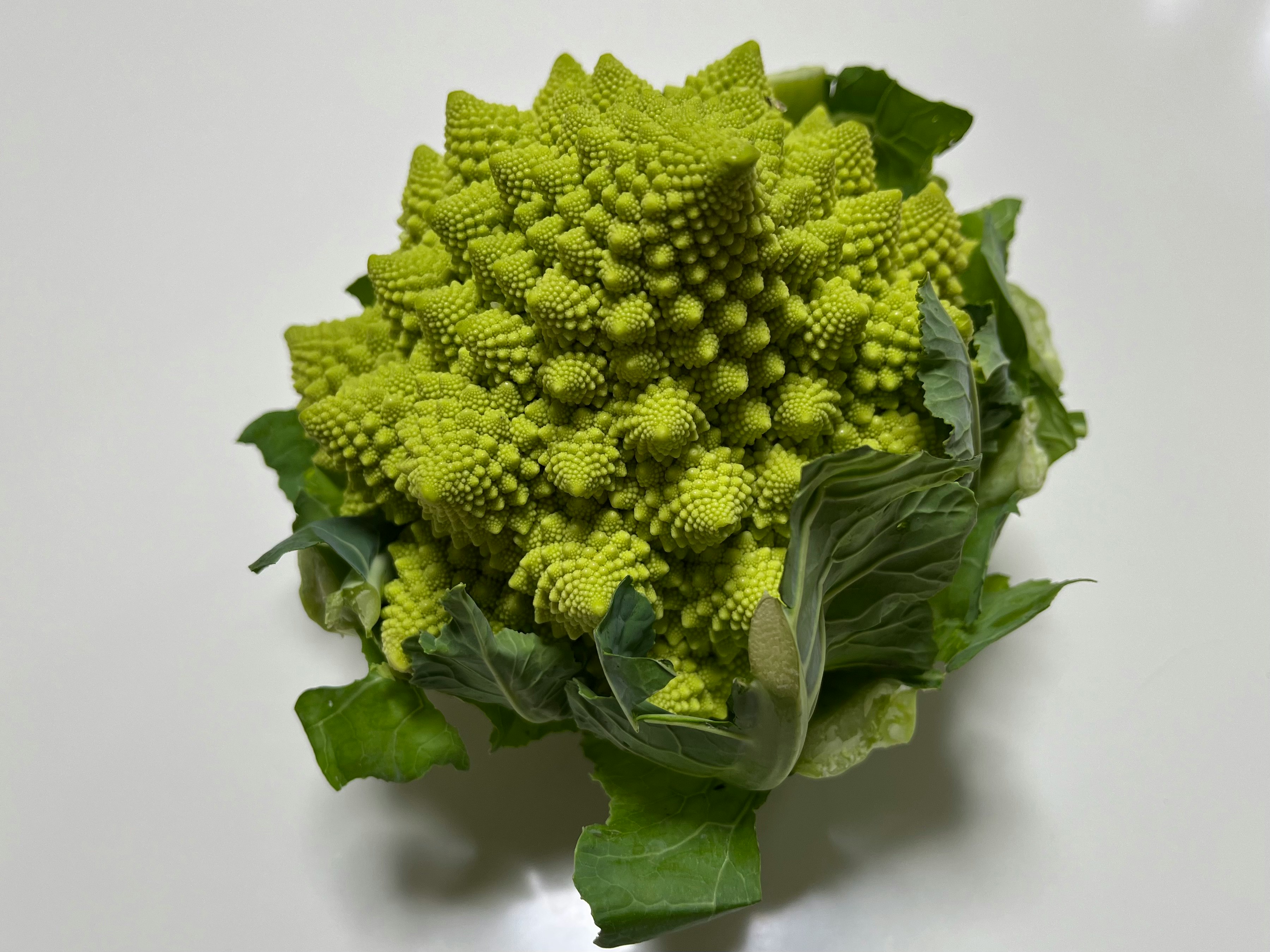 鮮綠西蘭花花球般的一束