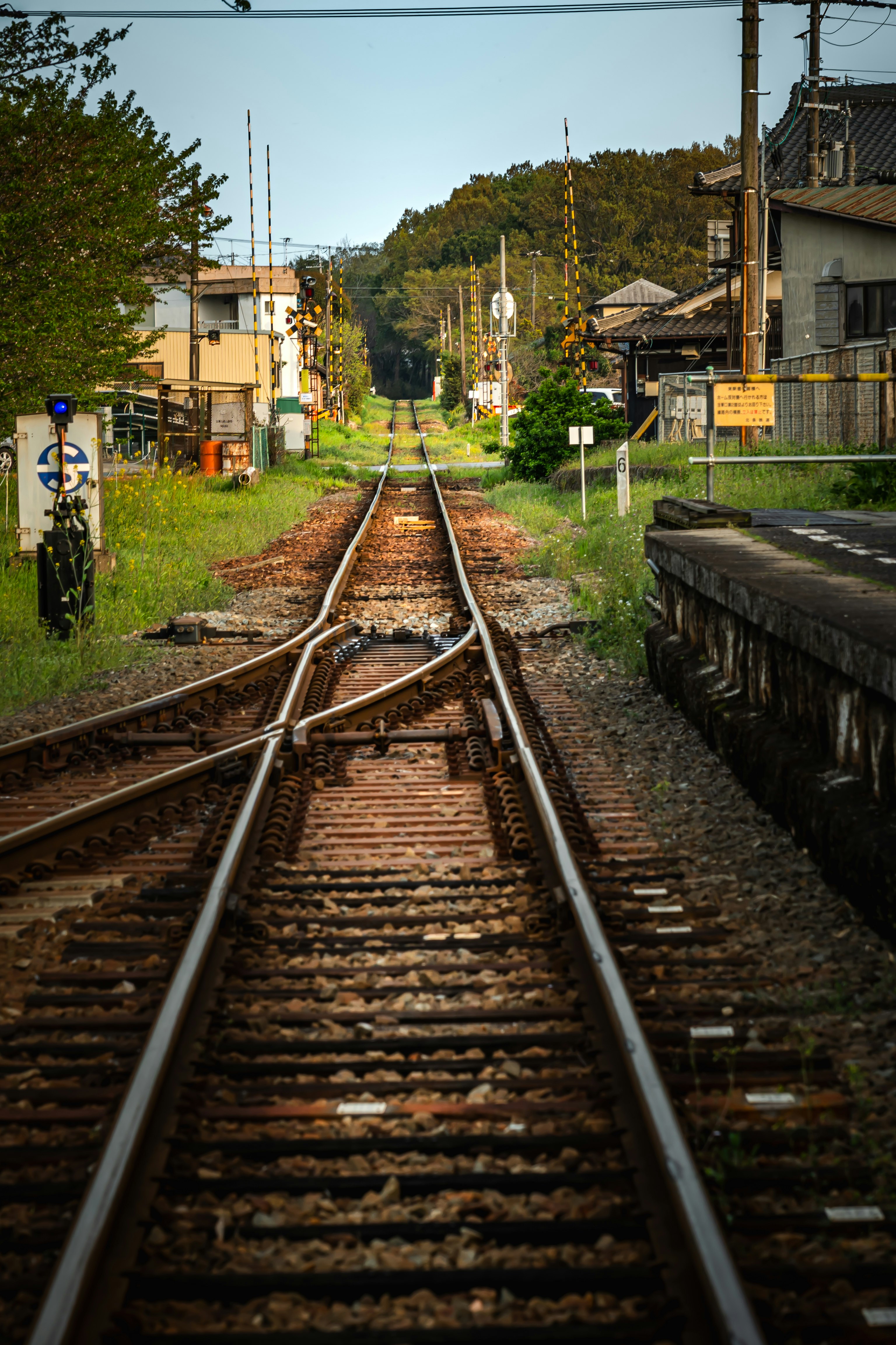 乡村铁路轨道延伸向远方