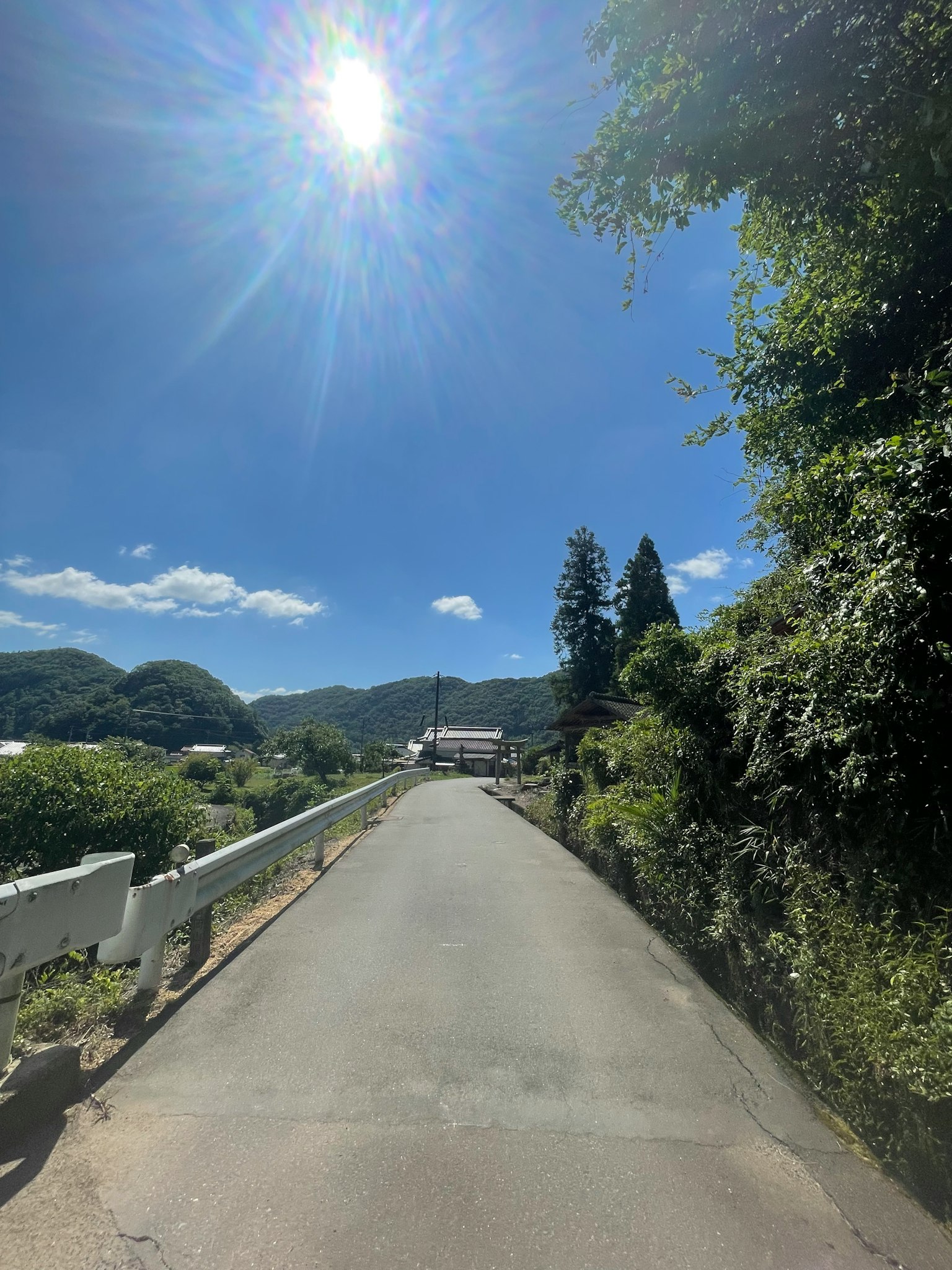 Scenic road surrounded by greenery under a clear blue sky