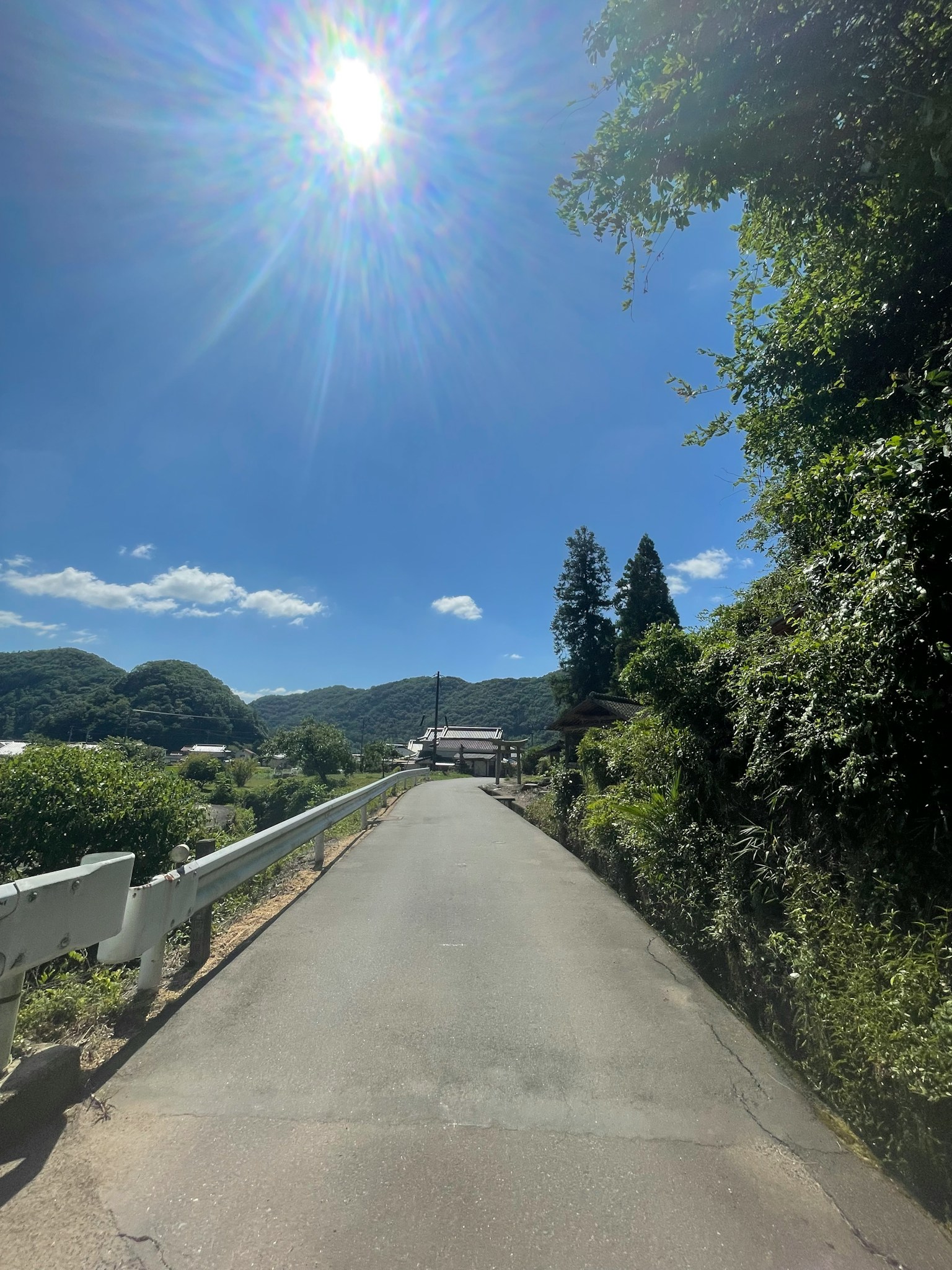 青空の下の緑豊かな道と山々の景色