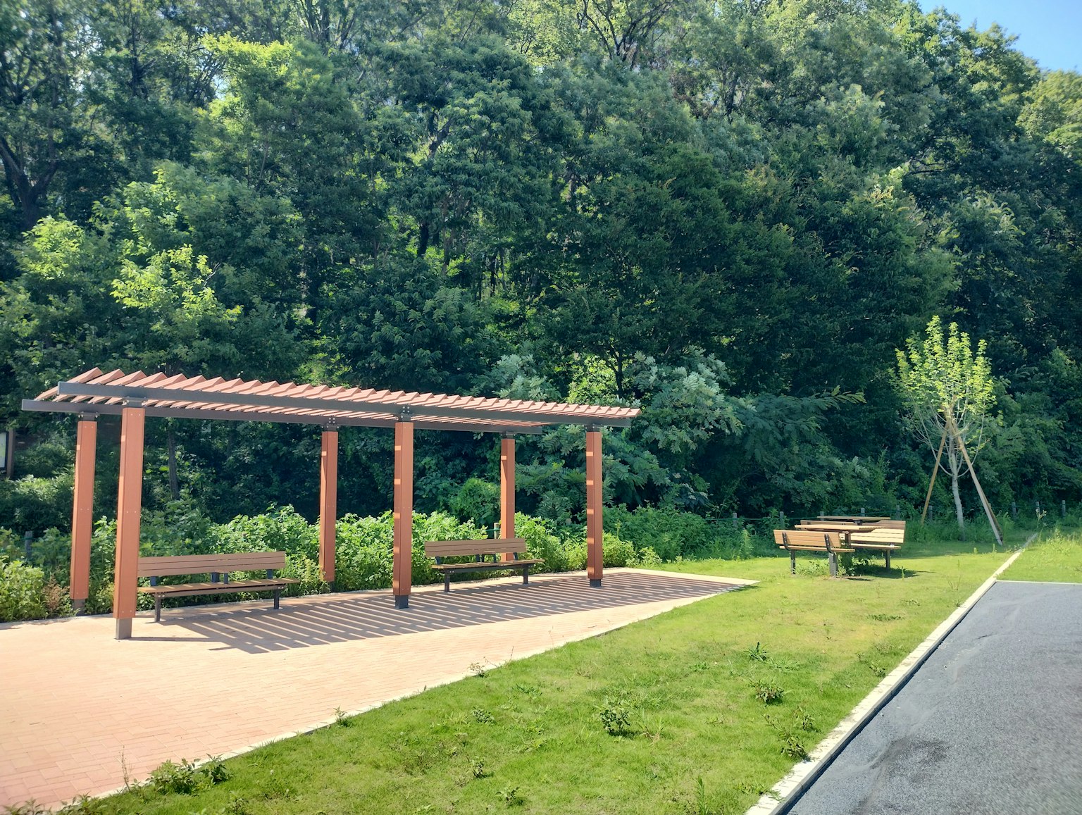 風景如畫的公園，有木質涼亭和周圍的綠樹