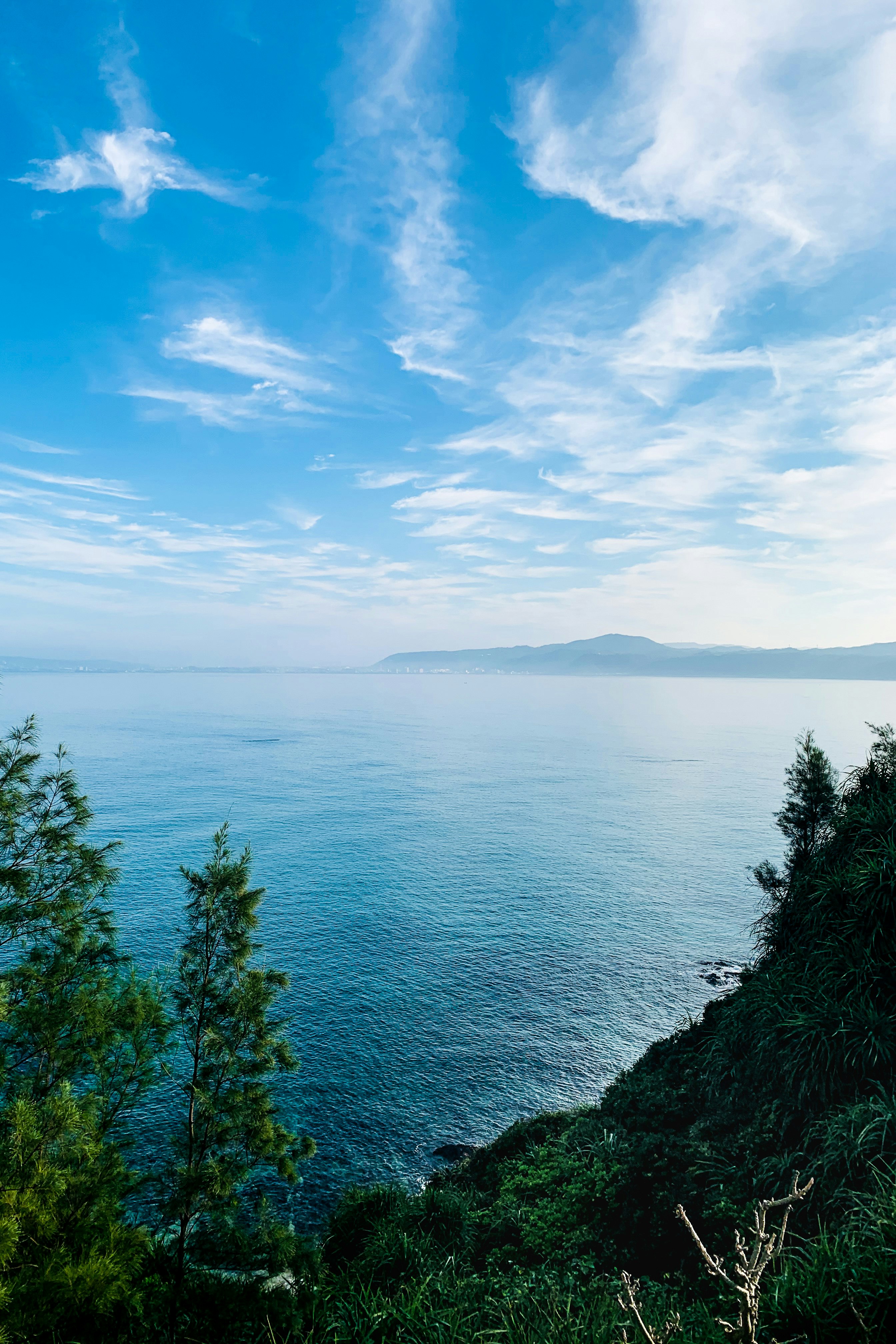 俯瞰蓝色海面的林地山坡与天空