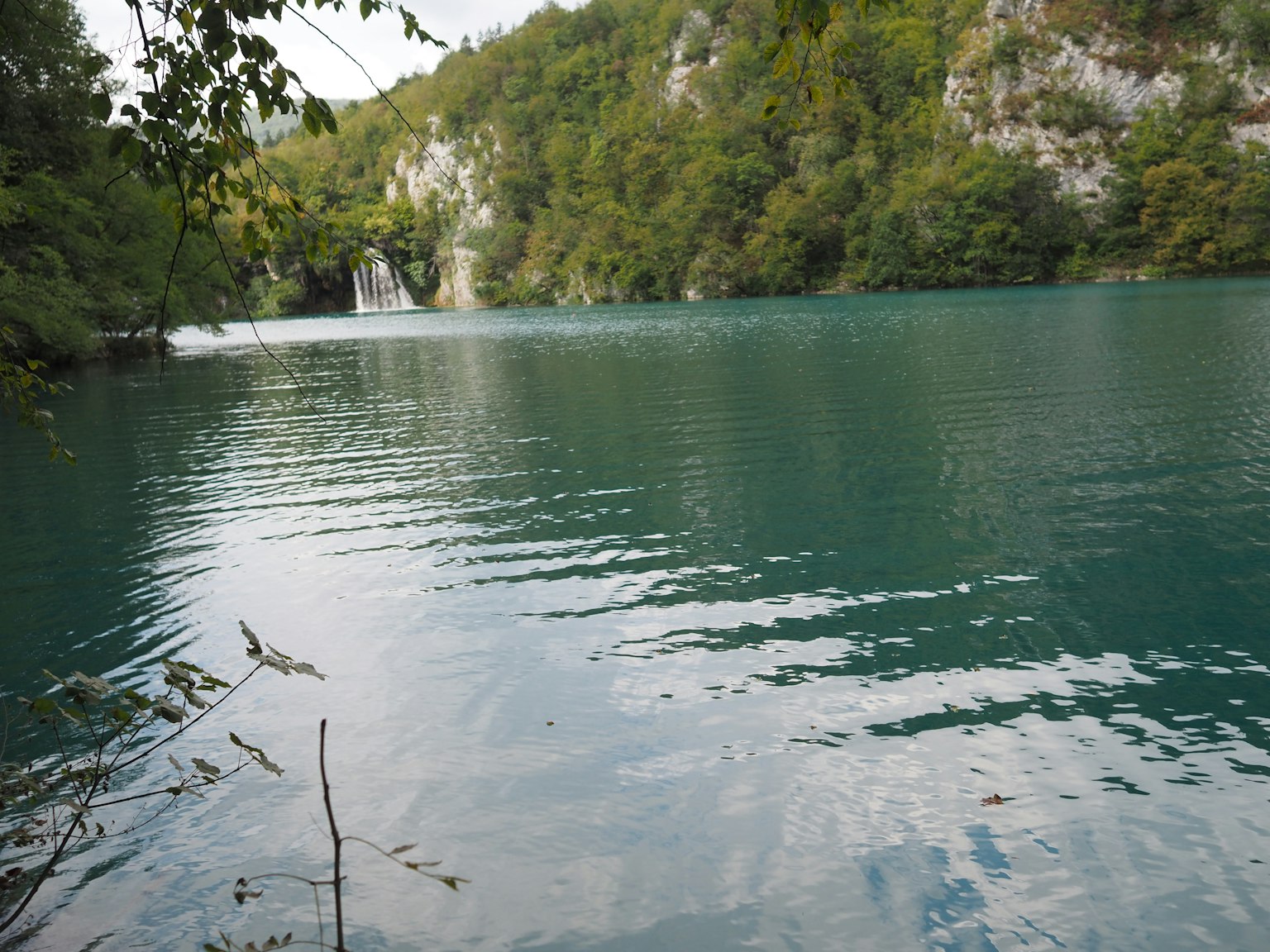 ทะเลสาบภูเขาที่สวยงามพร้อมป่าเขียวขจี