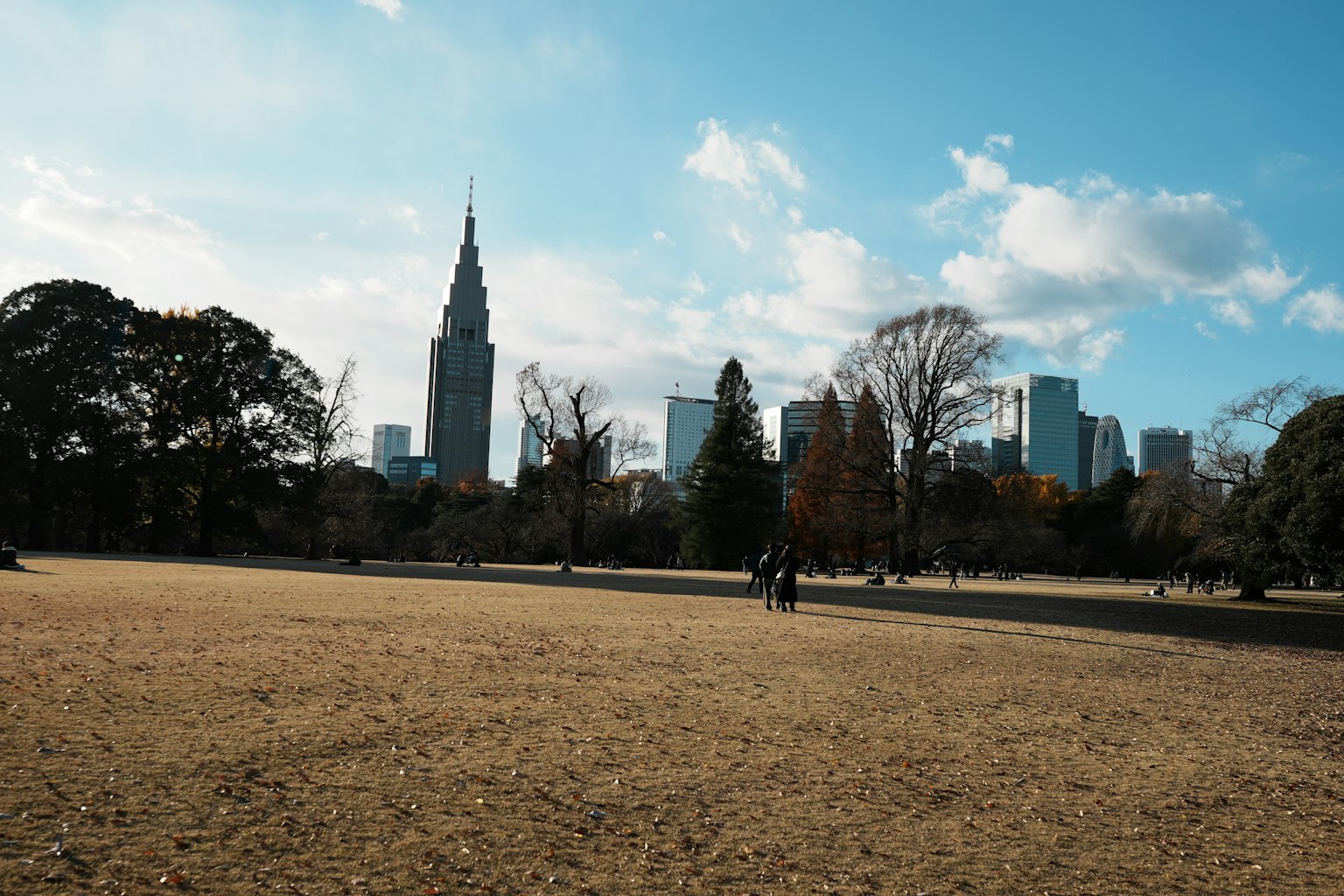 Parkansicht mit dem Empire State Building vor blauem Himmel