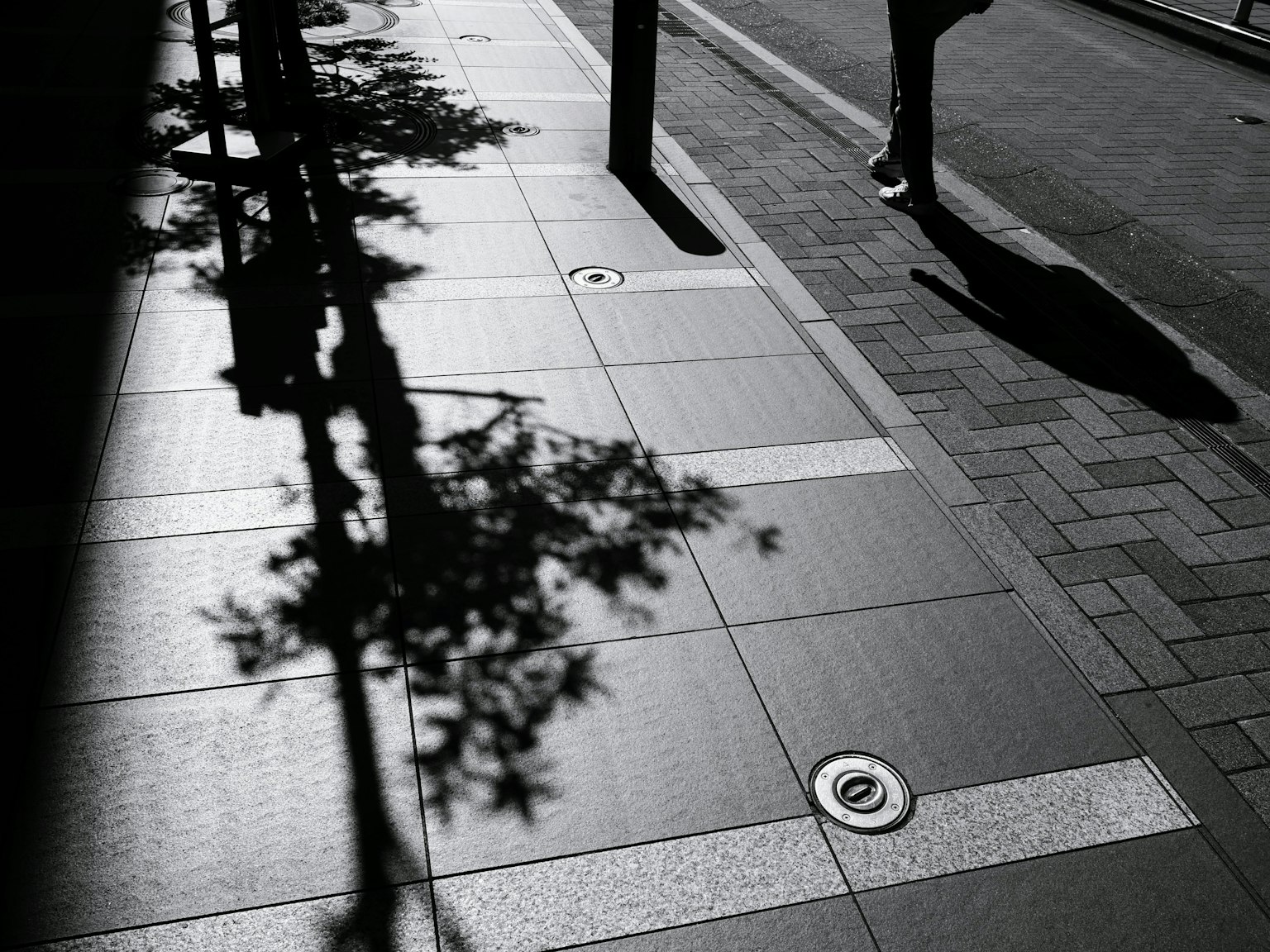 Black and white contrast of sidewalk with tree shadows and human silhouette