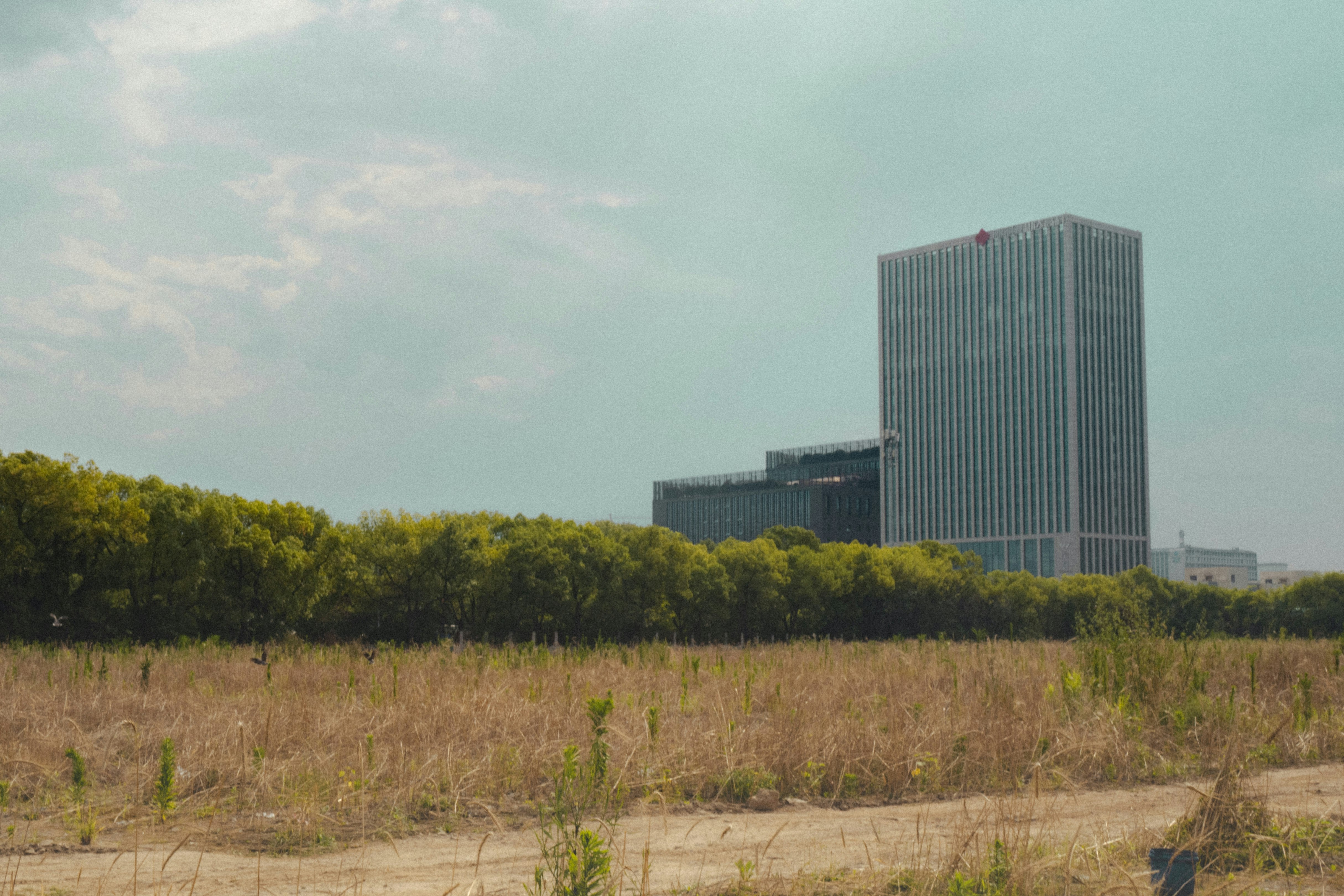 郊外の草地と高層ビルが見える風景