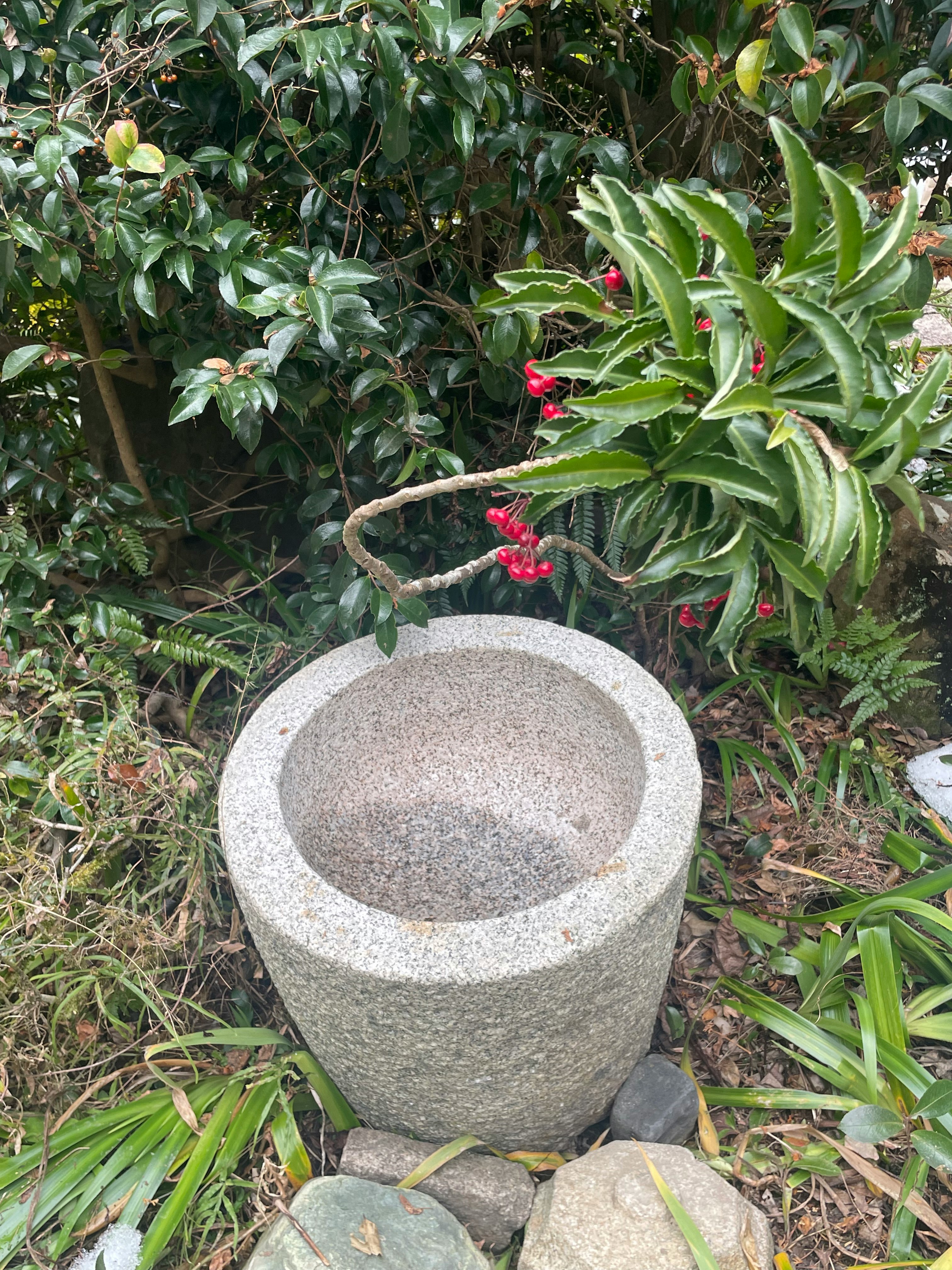 stone water basin placed among garden plants