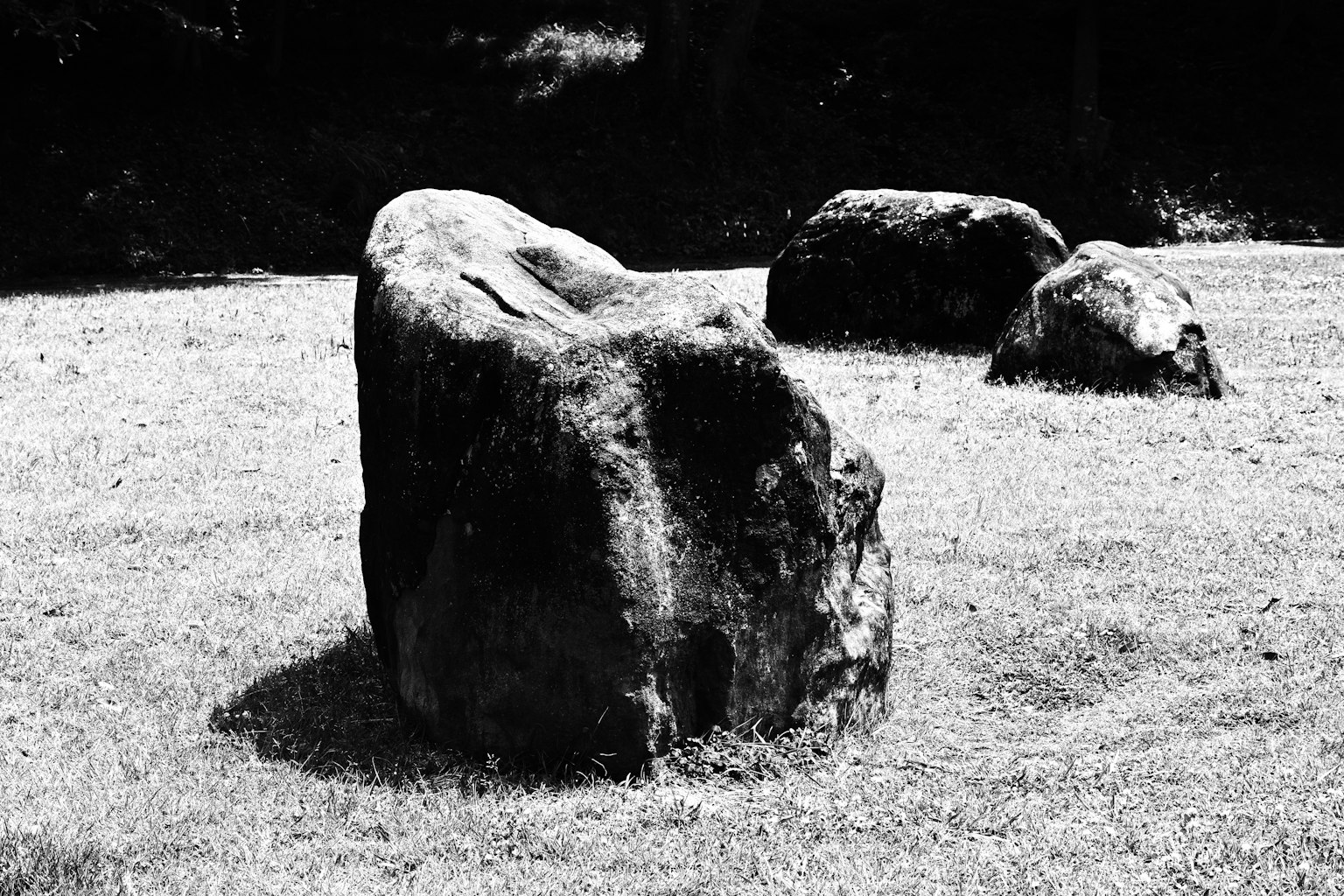 Un grupo de rocas grandes y pequeñas en un campo de hierba
