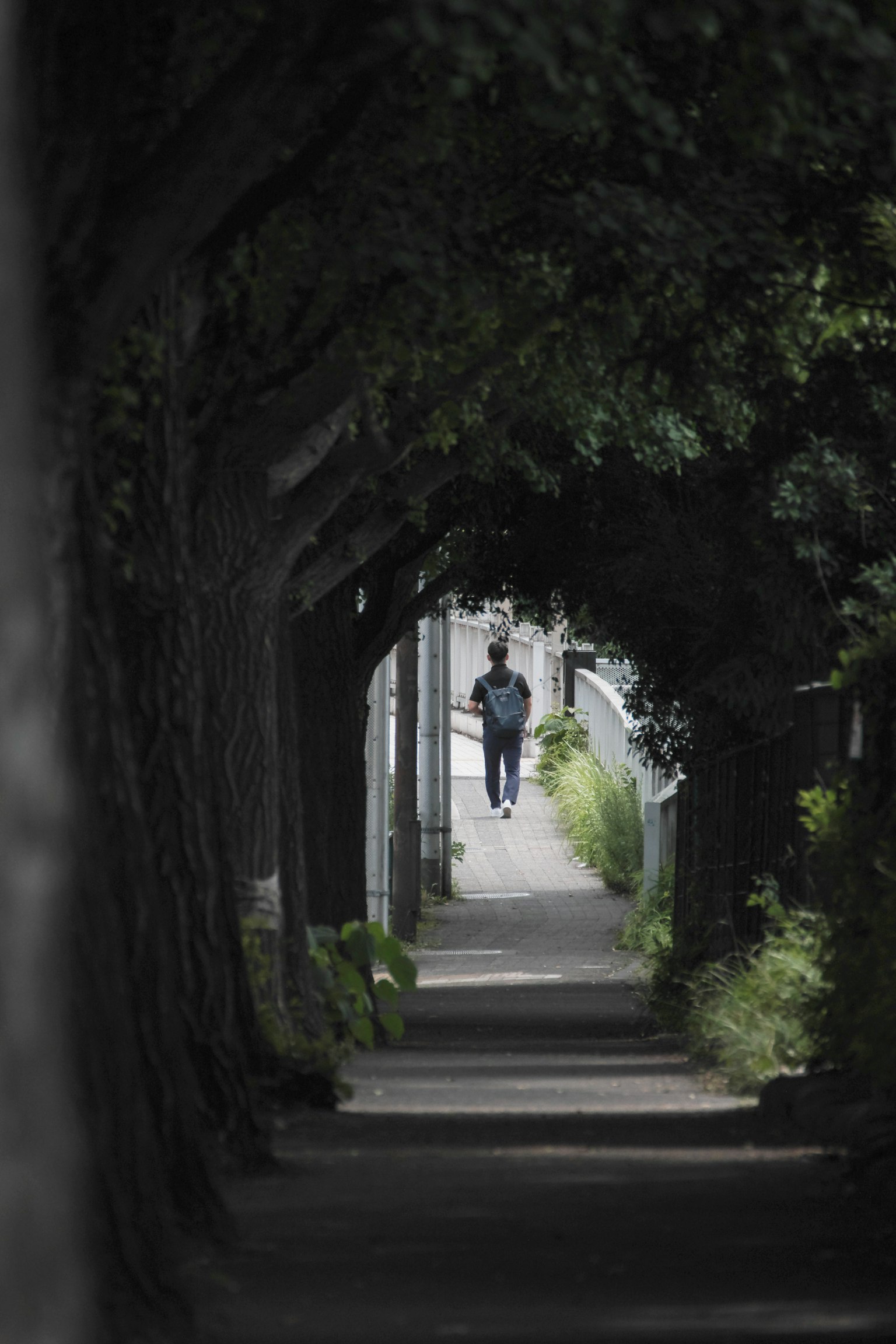 Immagine di una persona che cammina attraverso un tunnel verde formato da alberi
