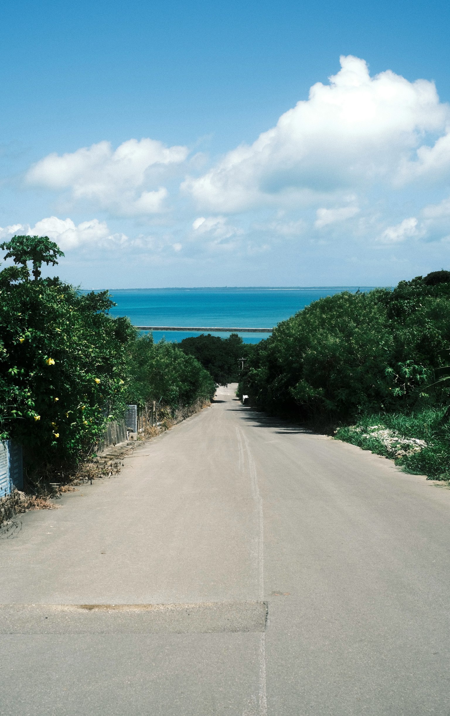 通往海洋的風景道路在明亮的藍天之下