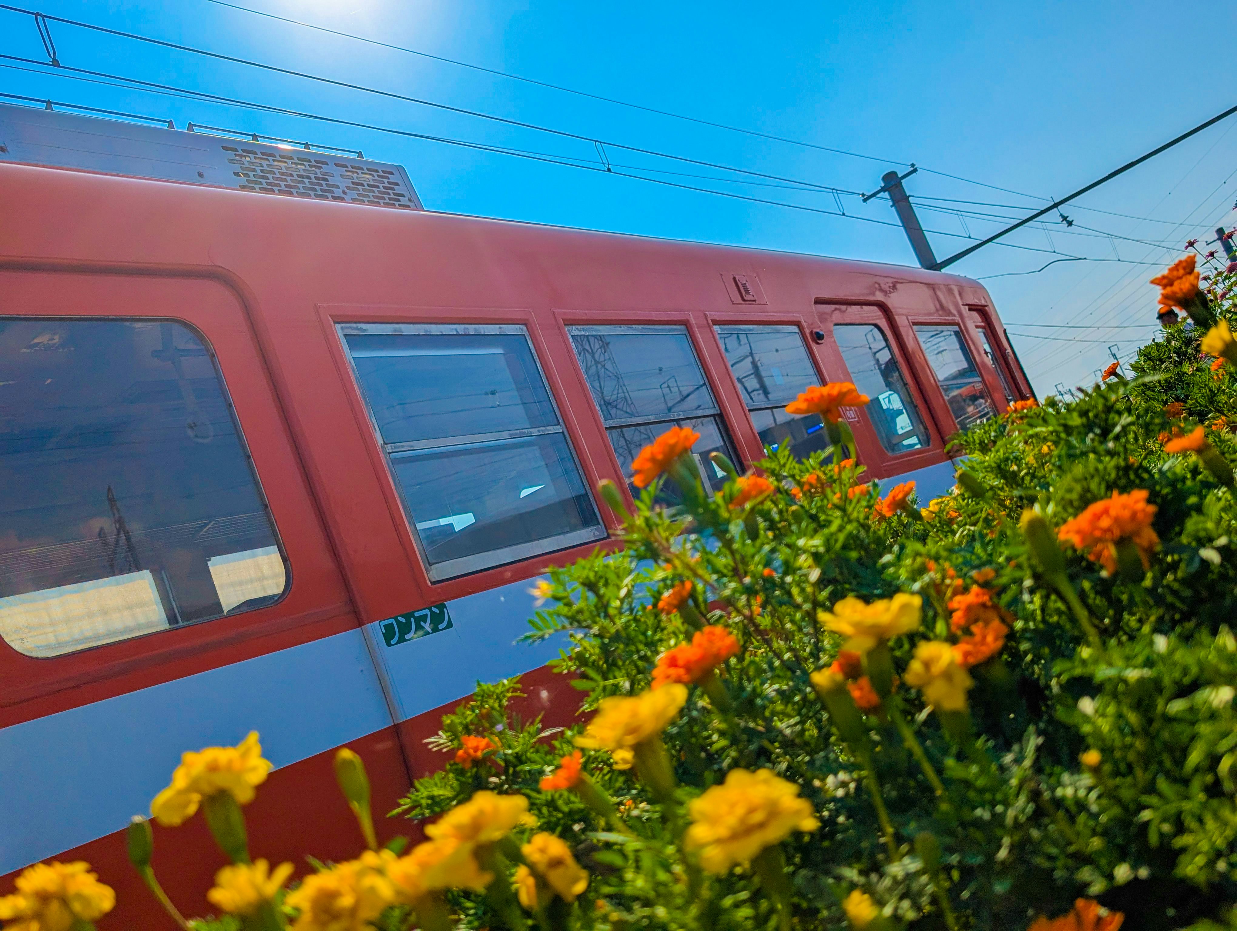線路を走る列車と色鮮やかなお花の風景