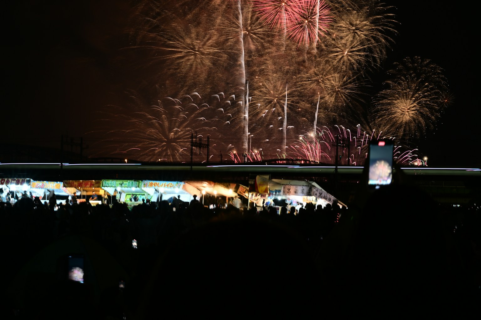 Spectacular fireworks display lighting up the night sky with silhouettes of an audience
