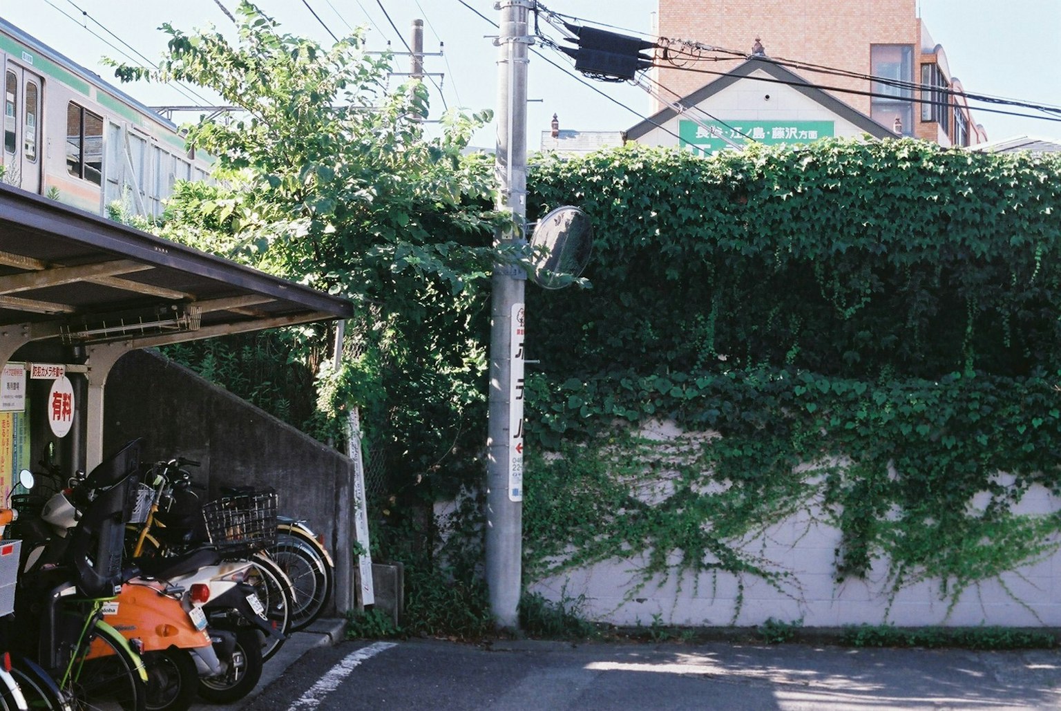 Bicycle parking area surrounded by green foliage featuring parked bikes