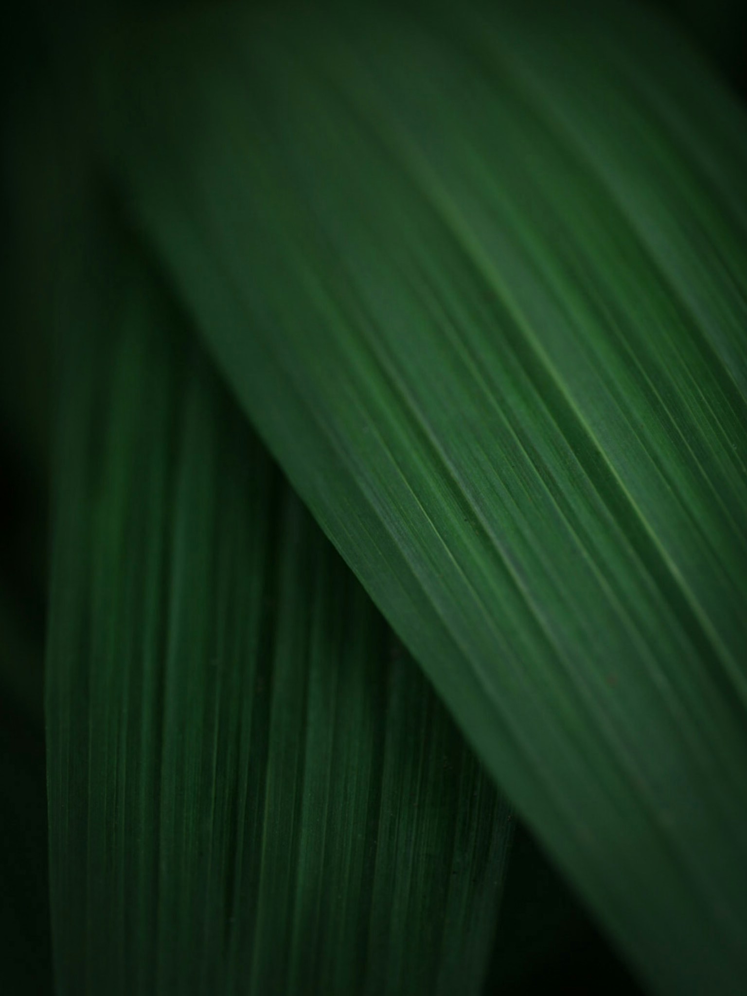 photo-yY3nykv68IJsyftHnjFg-image