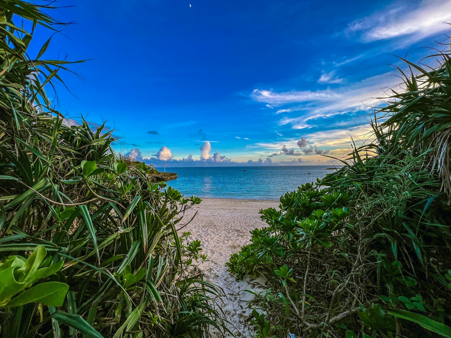 Pemandangan pantai yang dikelilingi tanaman hijau dengan langit biru dan awan