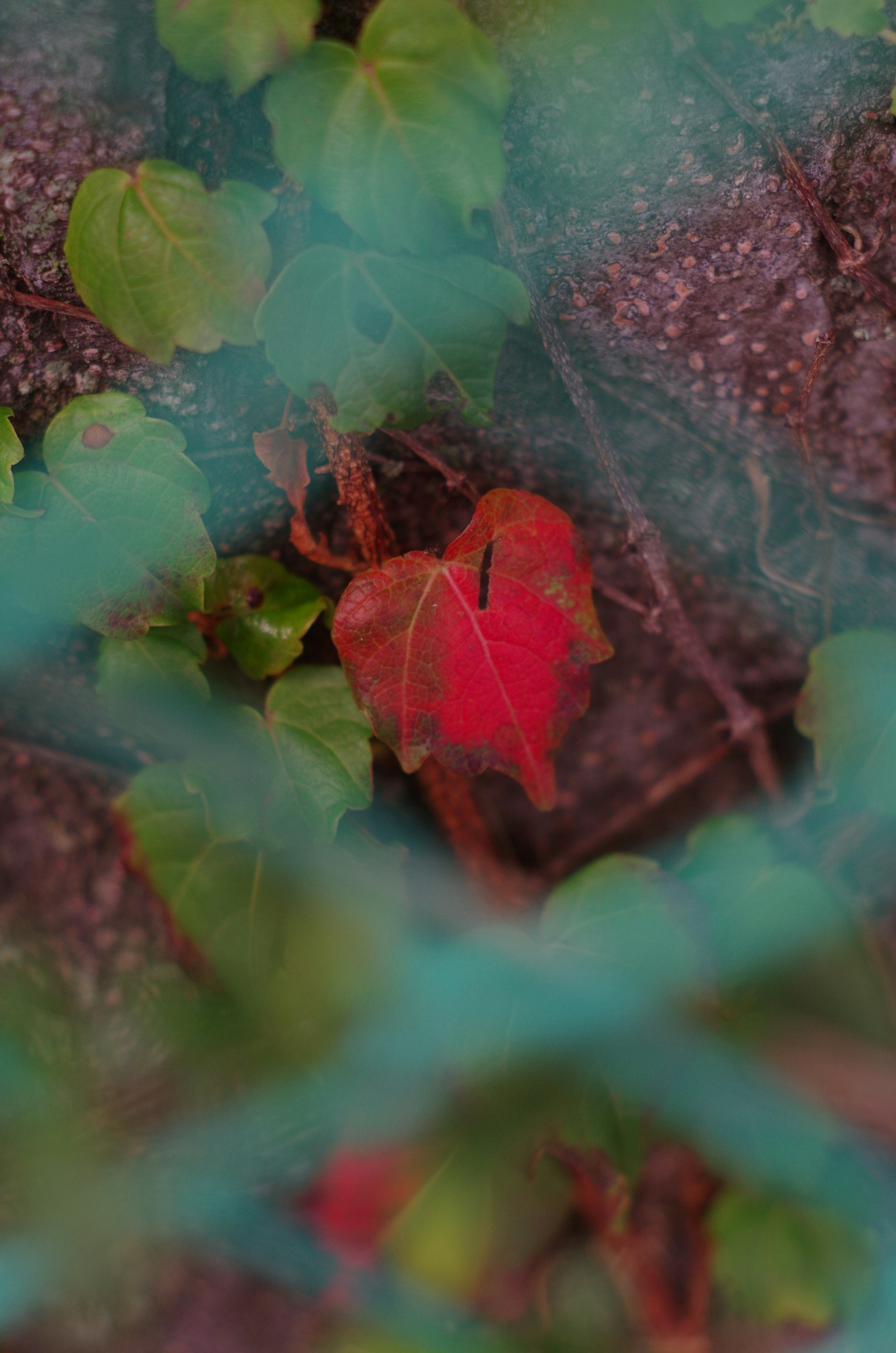 暗い背景に白いテキストのシンプルなデザイン