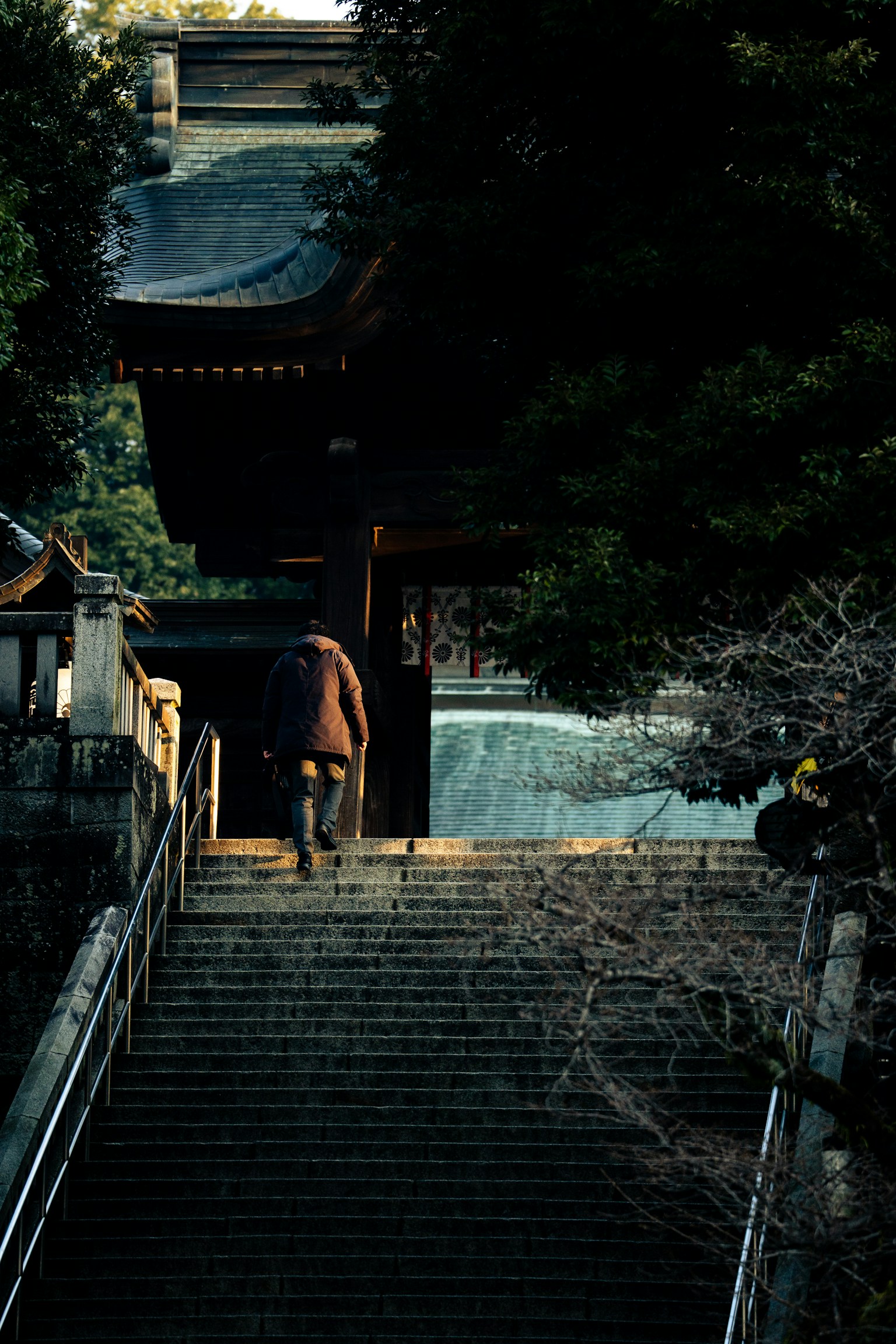 A person ascending stairs towards a shrine gate