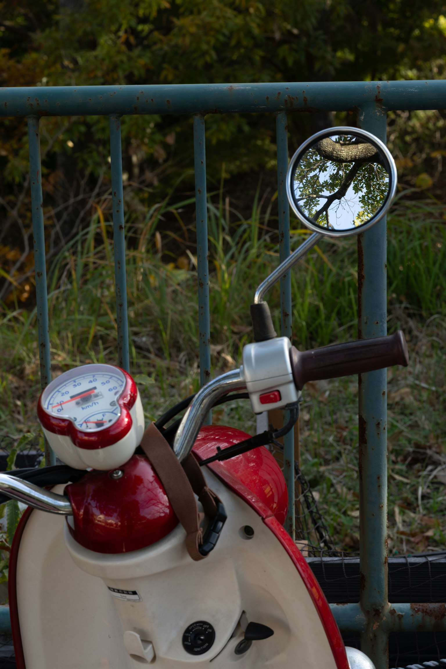 Close-up of a red scooter's handlebar and mirror reflecting greenery
