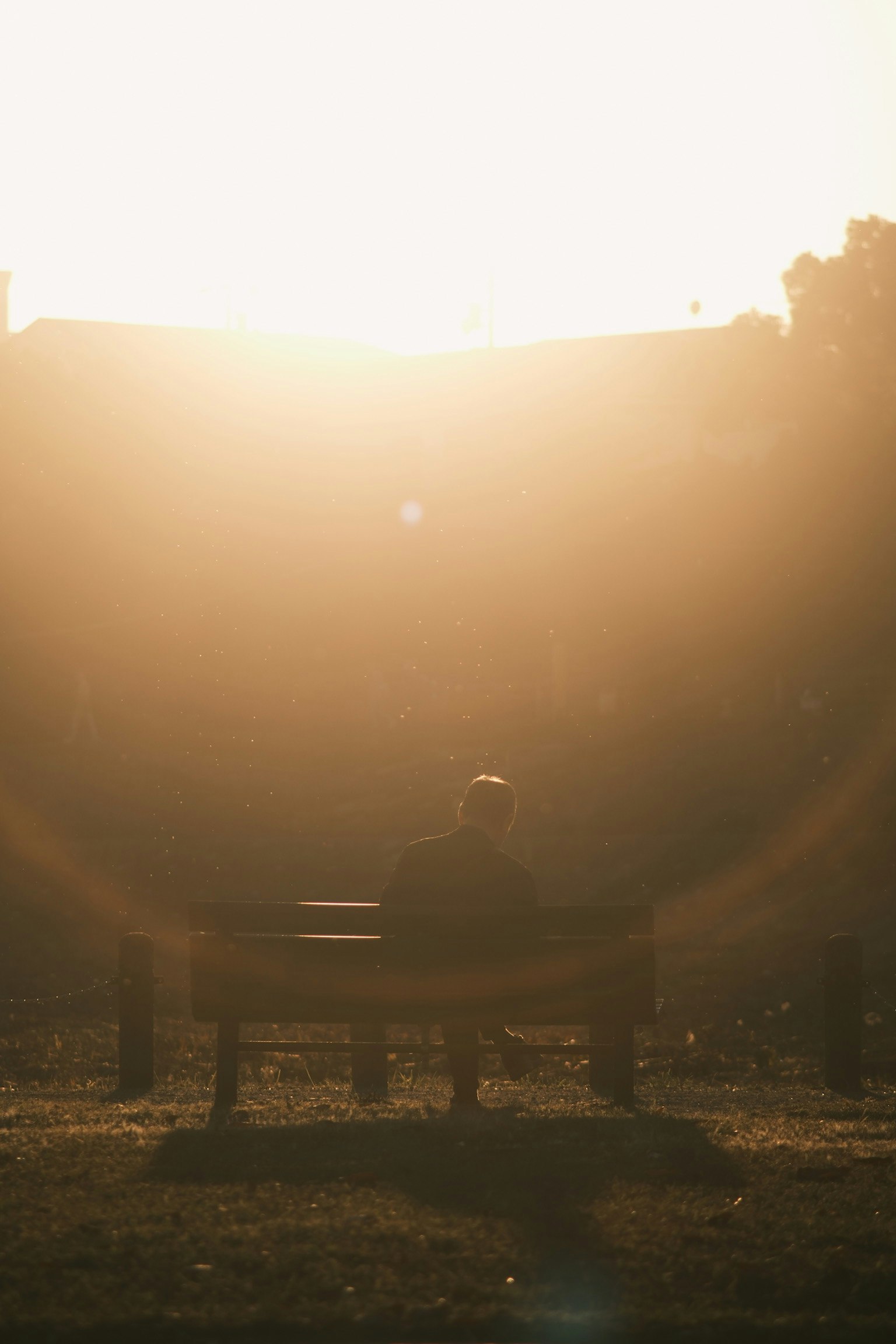 夕日を背にしたベンチに座る人物のシルエット