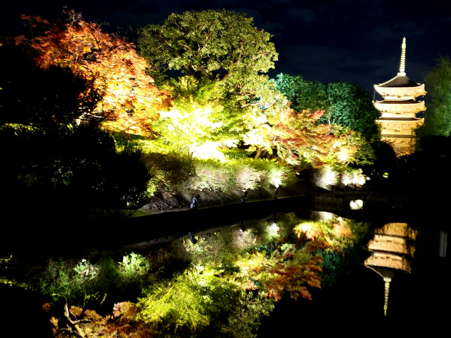 Five-story pagoda illuminated at night with vibrant autumn foliage reflections