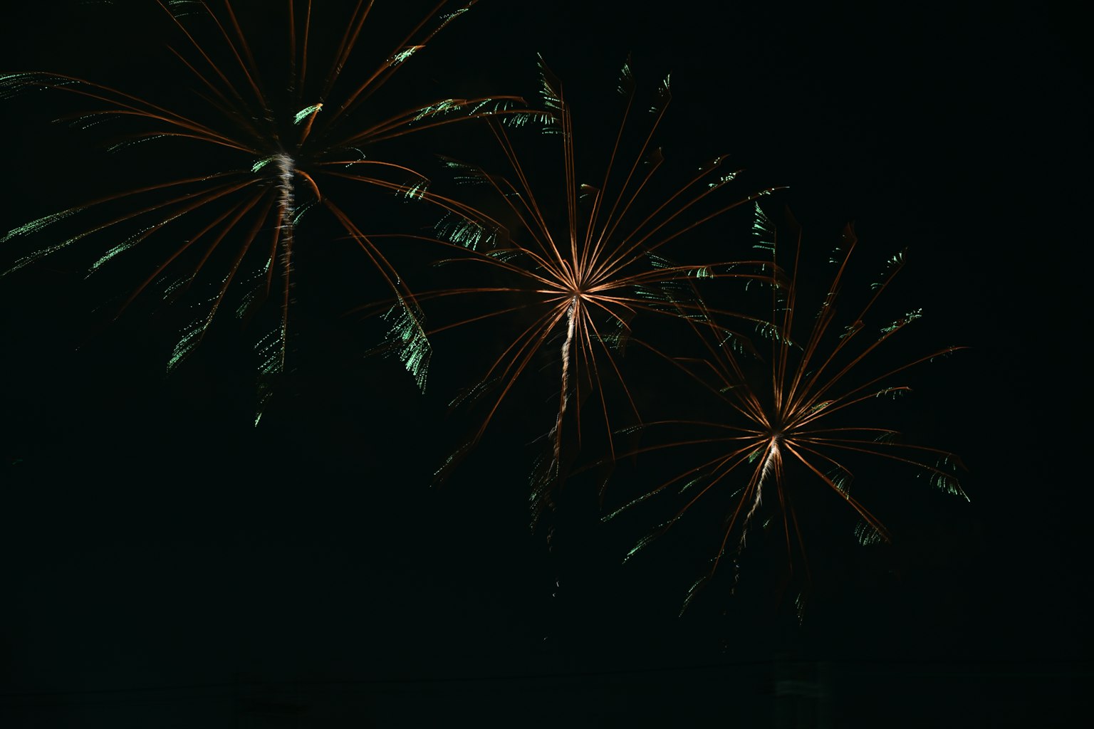 Fuegos artificiales estallando en el cielo nocturno