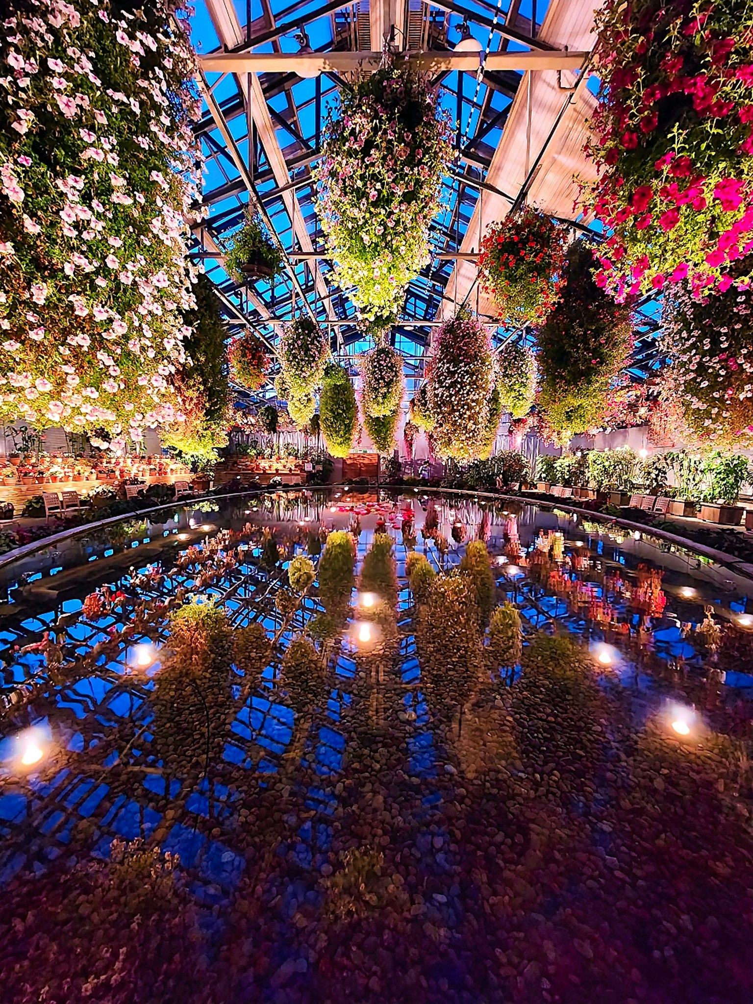 Intérieur d'une serre avec de belles fleurs suspendues se reflétant sur la surface de l'eau et un éclairage coloré