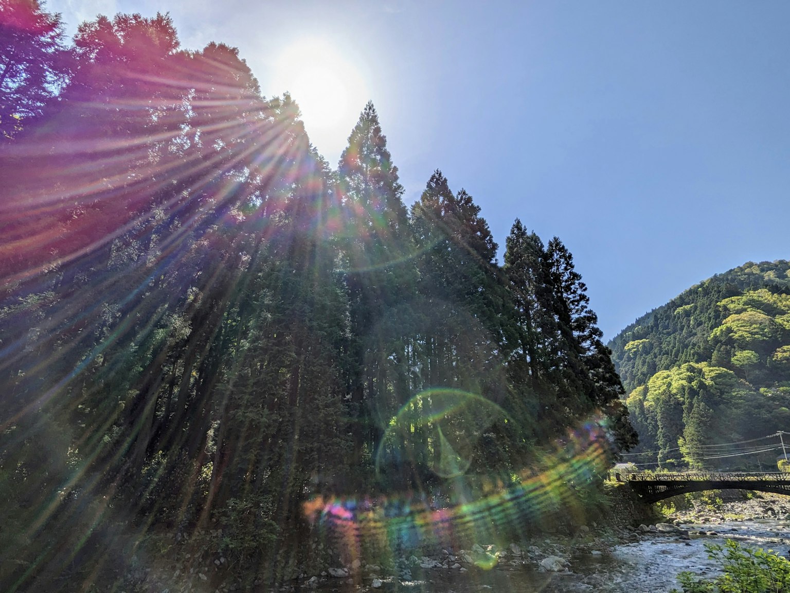 Sunlight streaming through trees in a beautiful landscape