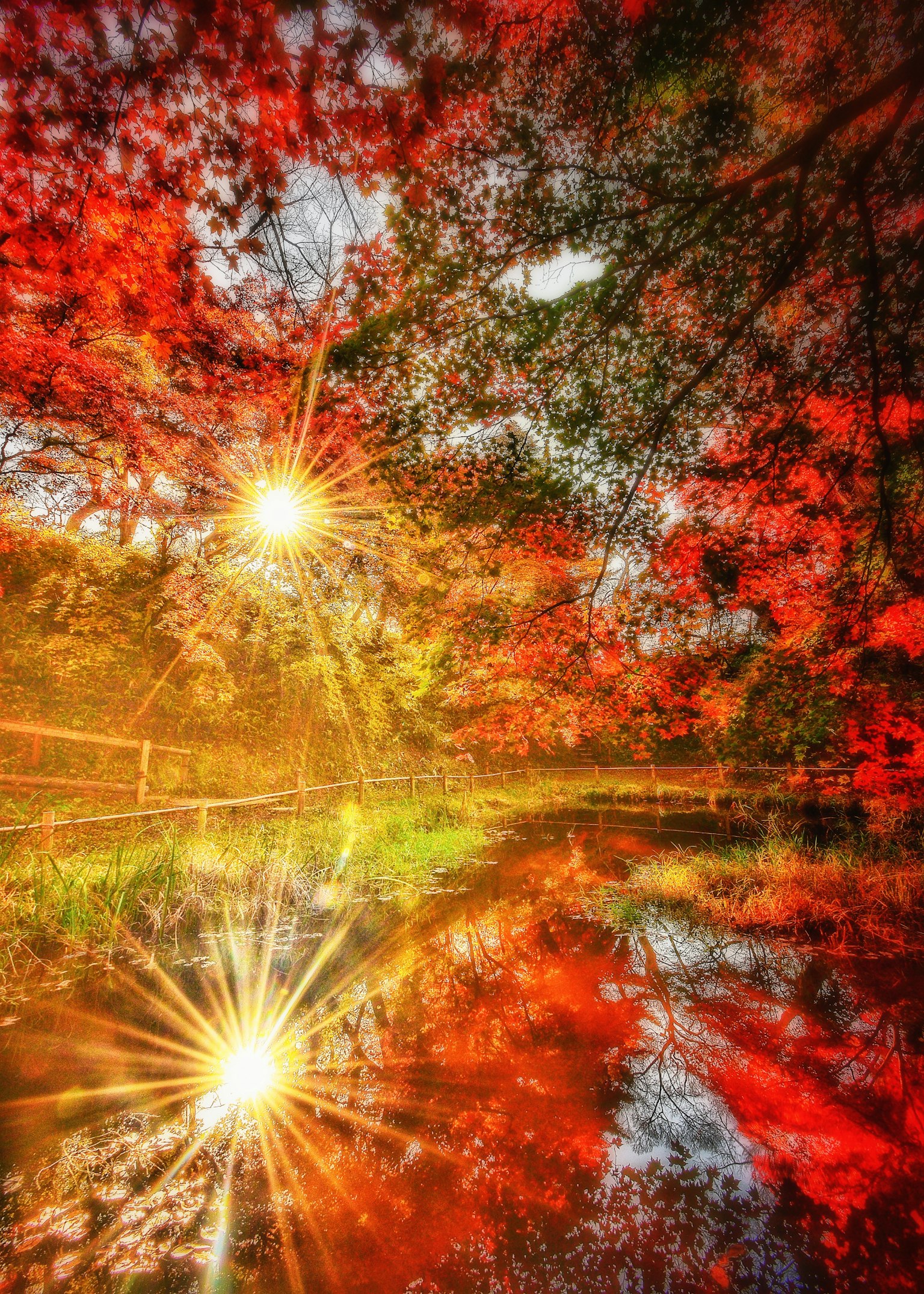 Beautiful autumn foliage reflected in a serene pond