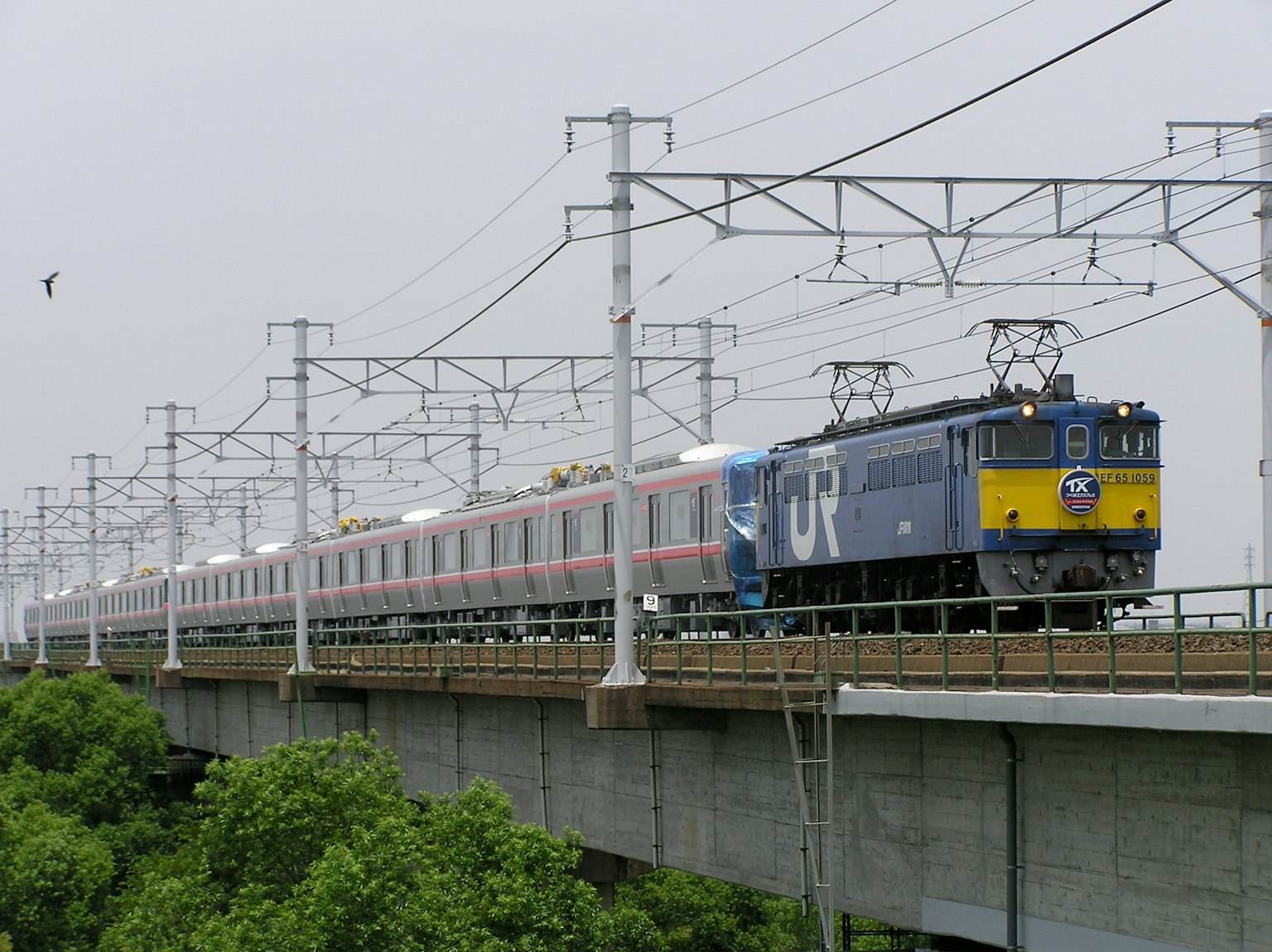 Train crossing a bridge surrounded by greenery and railway lines