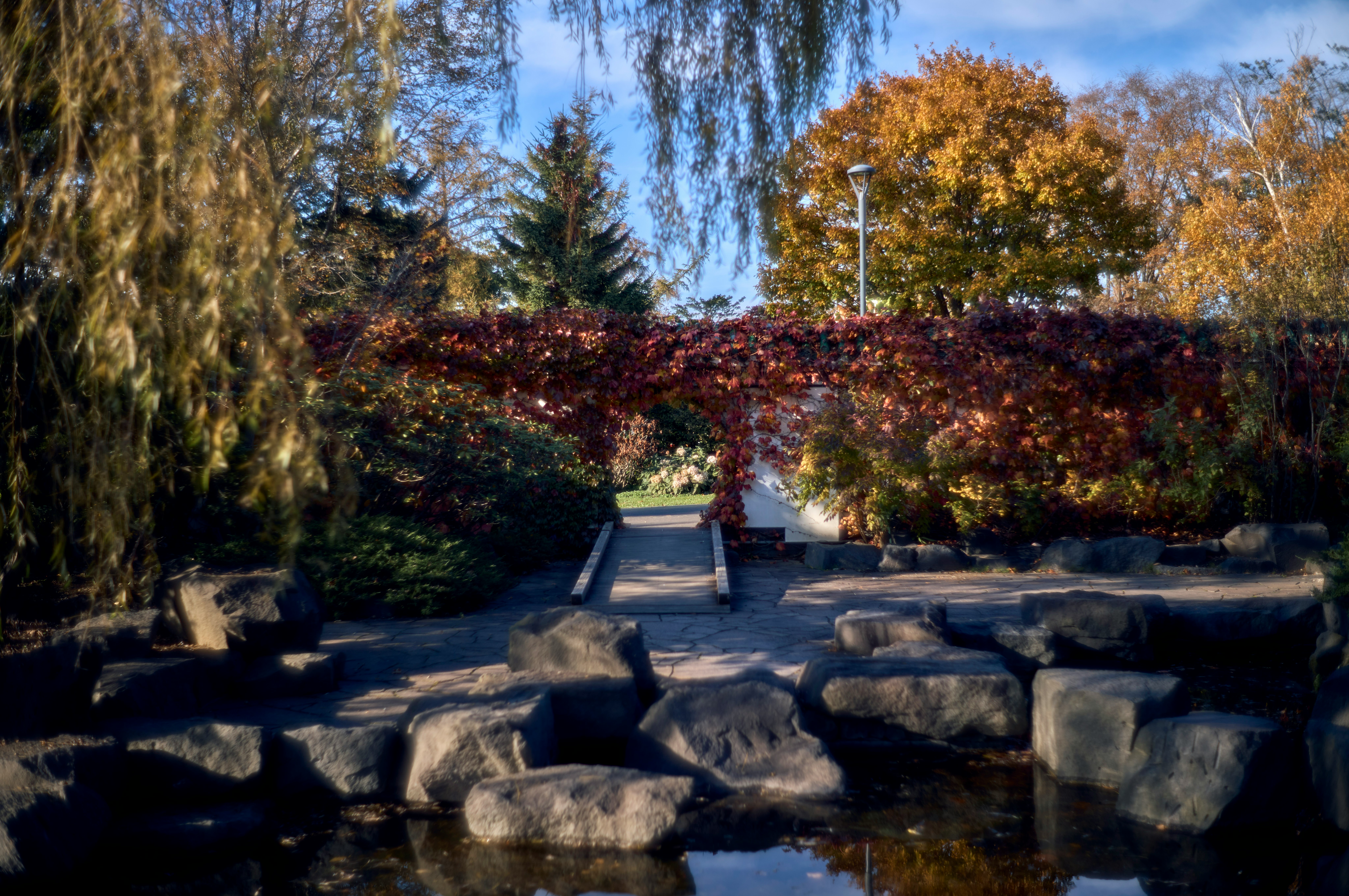 石積みの小道と紅葉の庭園の景色