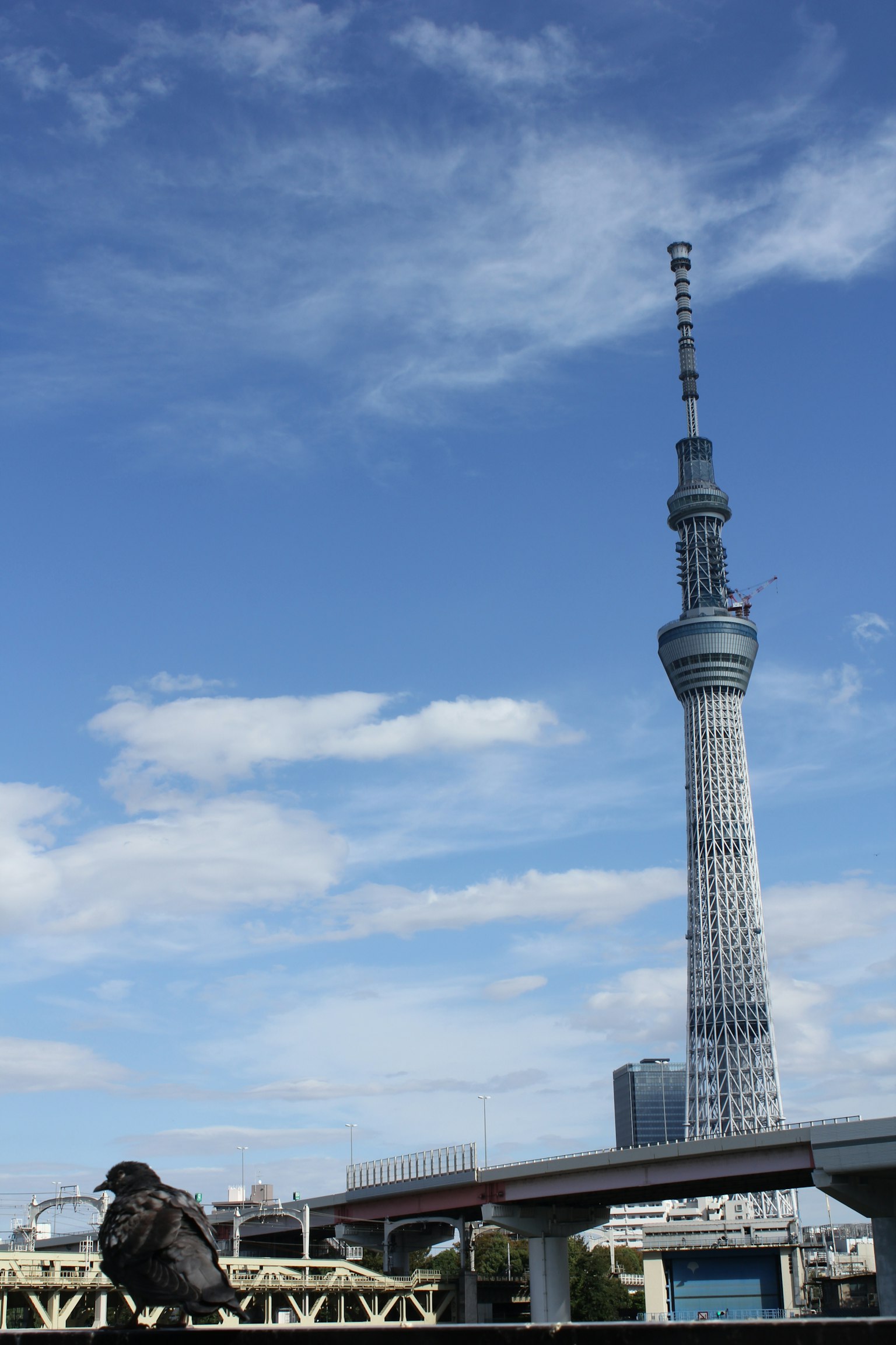 Tokyo Skytree che si erge contro un cielo blu