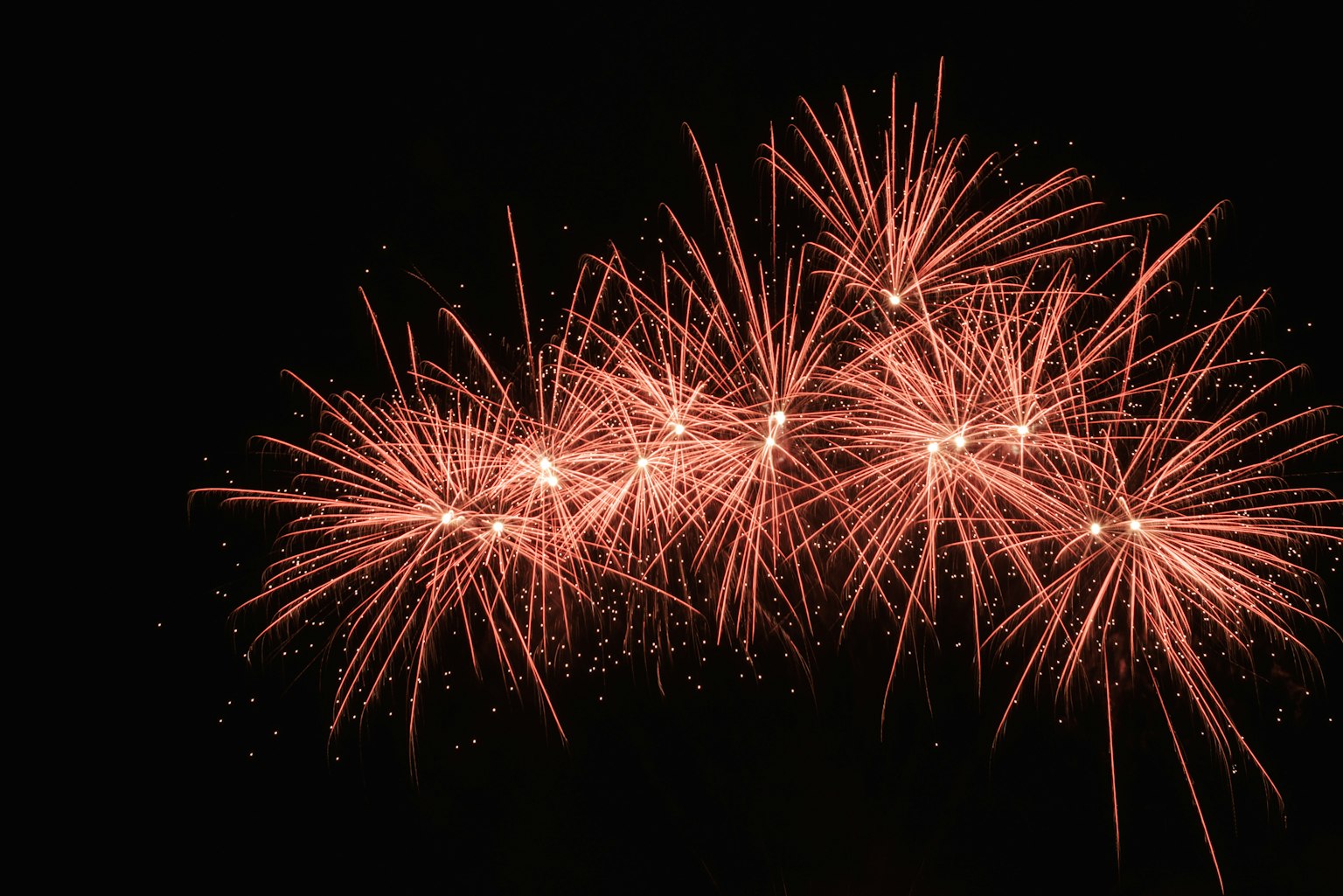 Fuochi d'artificio rossi brillanti che esplodono su uno sfondo nero
