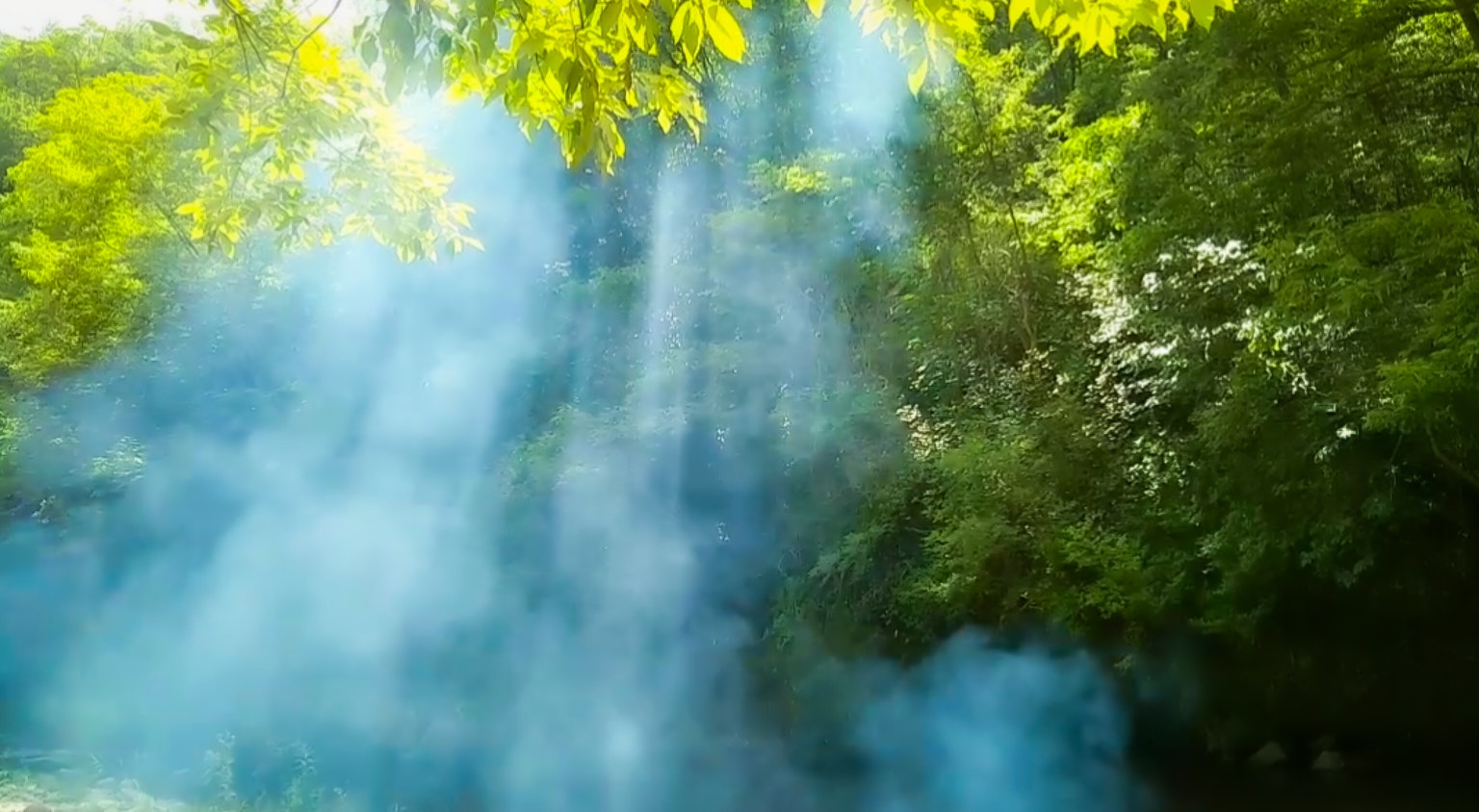 Une scène brumeuse dans une forêt verdoyante avec du brouillard bleu