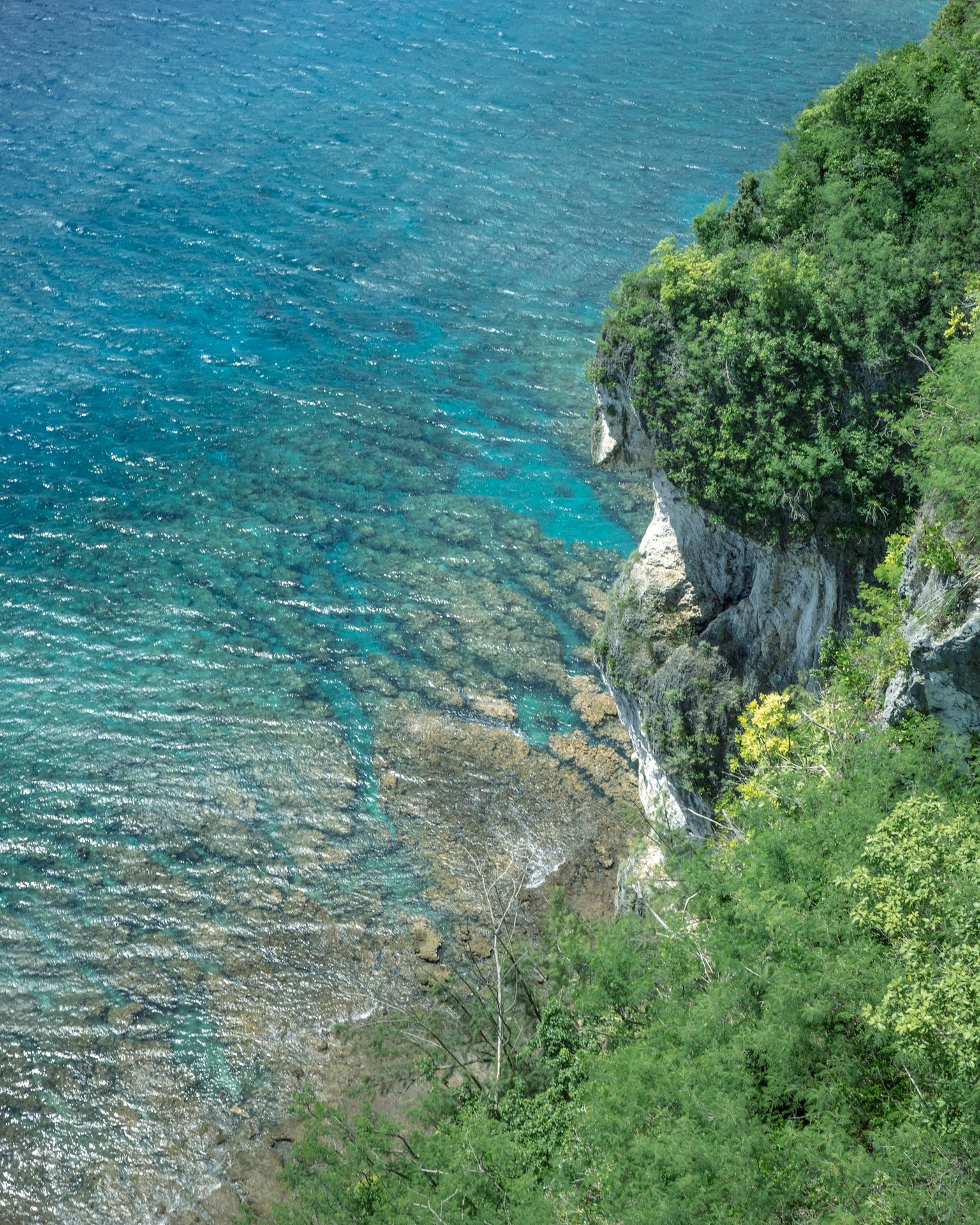 风景如画的岩石海岸，碧绿的海水和郁郁葱葱的植被