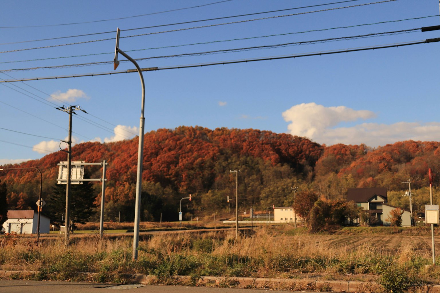 Vista escénica del follaje de otoño en una colina con cielo azul
