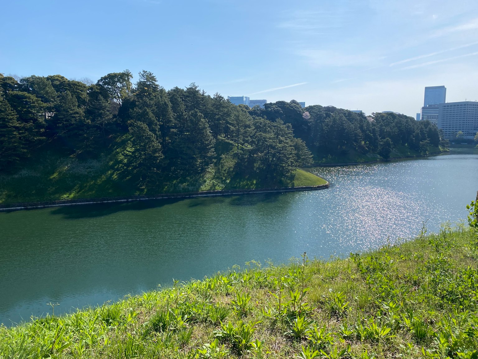 河流的风景，绿意盎然的岸边和宁静的水面