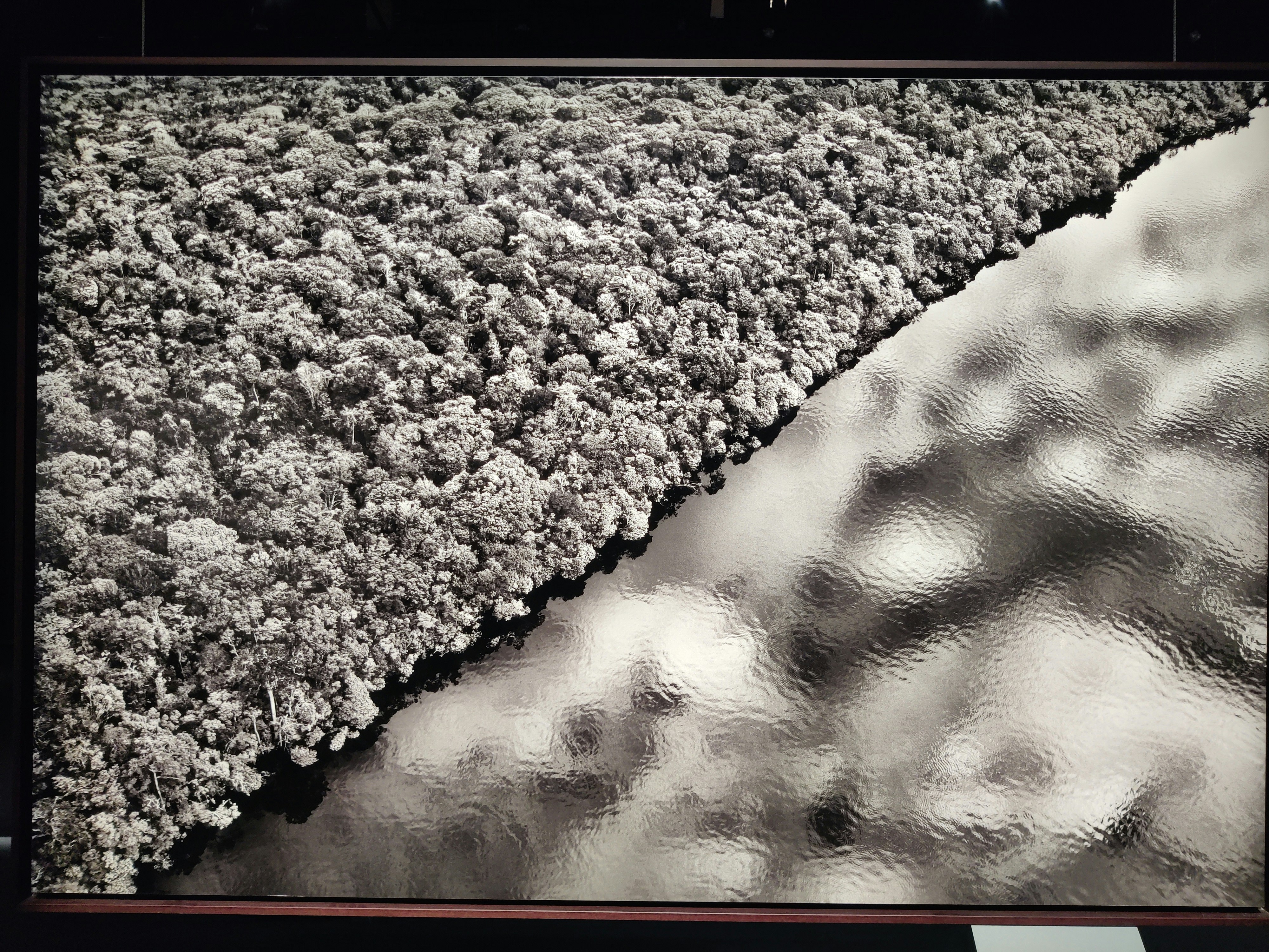 granular, dune-like surface with shadow patterns