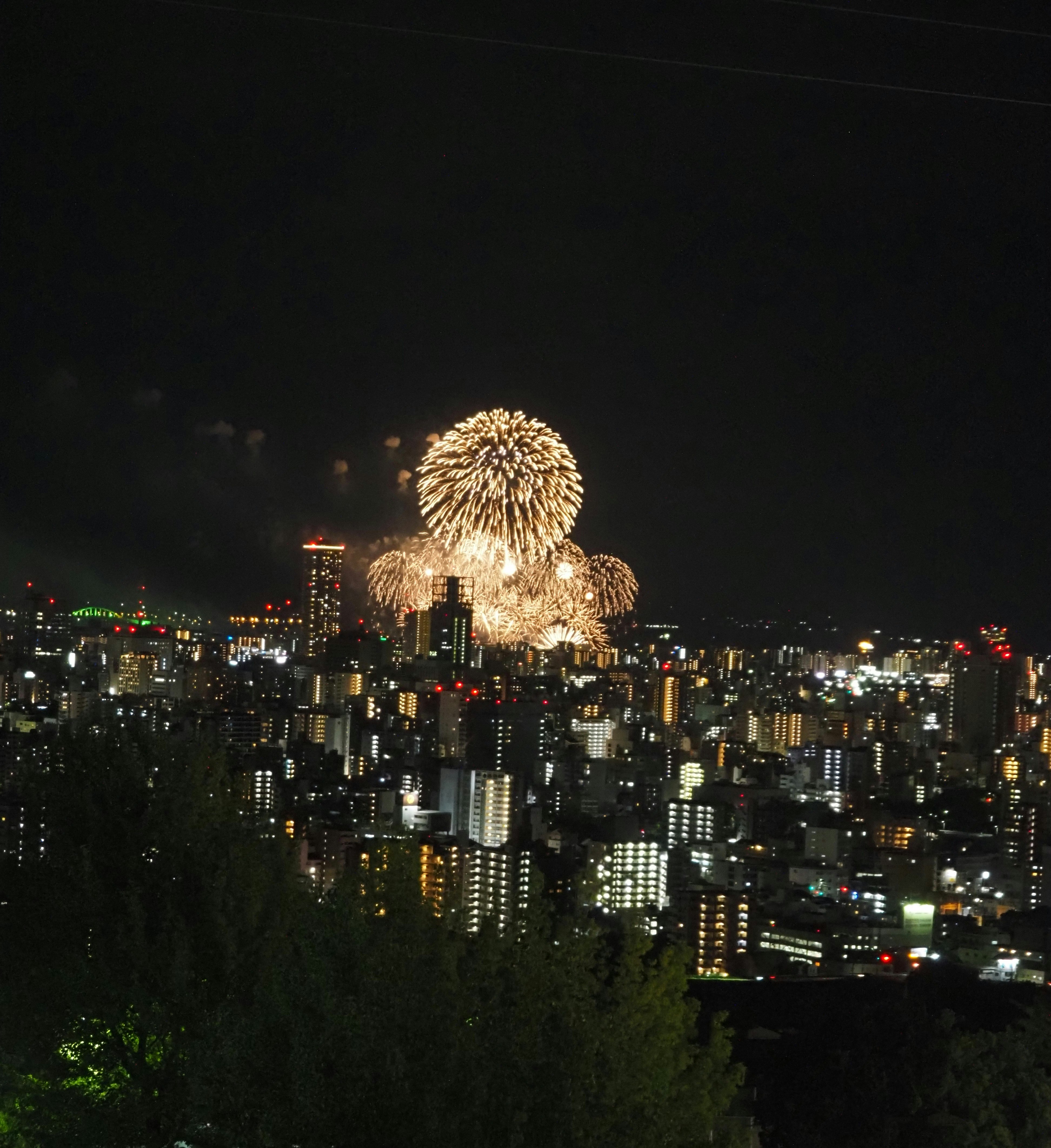 夜空に打ち上がる花火と高台から見下ろす都市の夜景