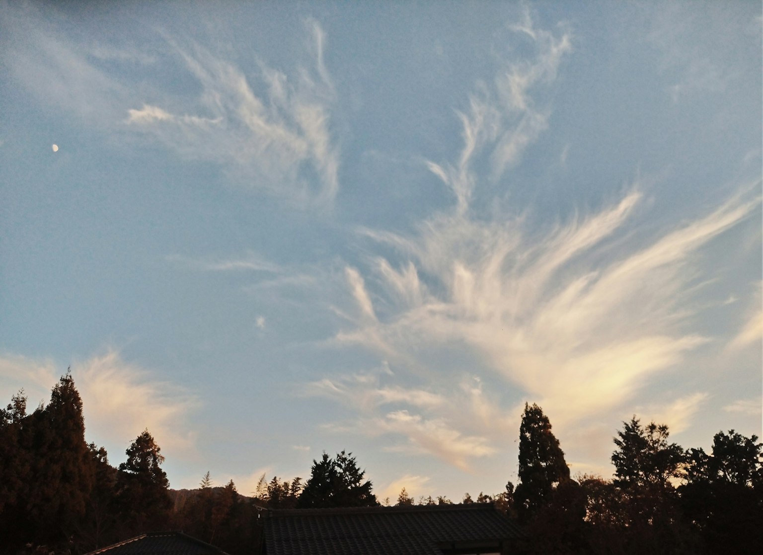 青空に広がる雲と木々のシルエット