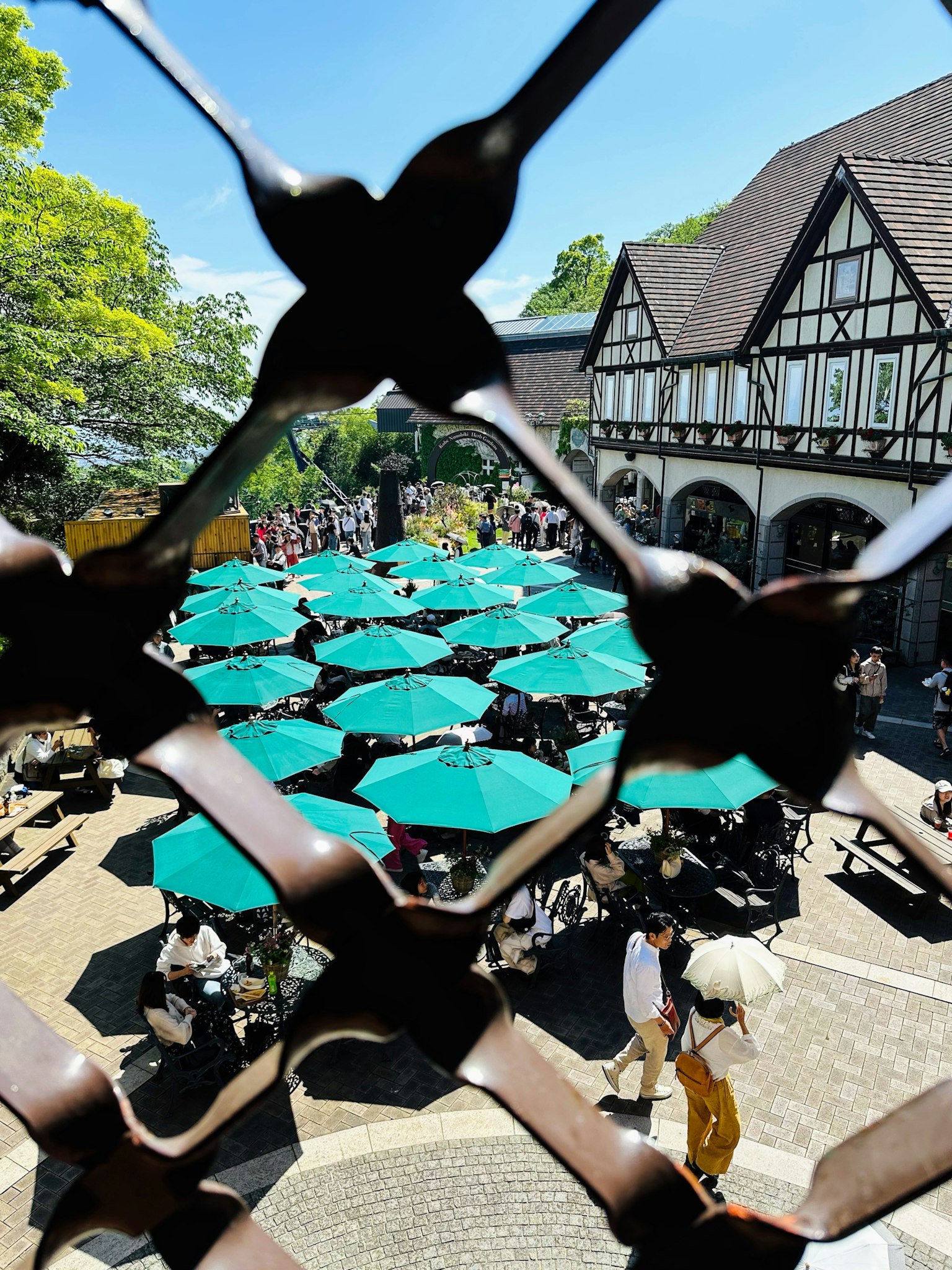Vue d'une terrasse de café recouverte de parasols verts