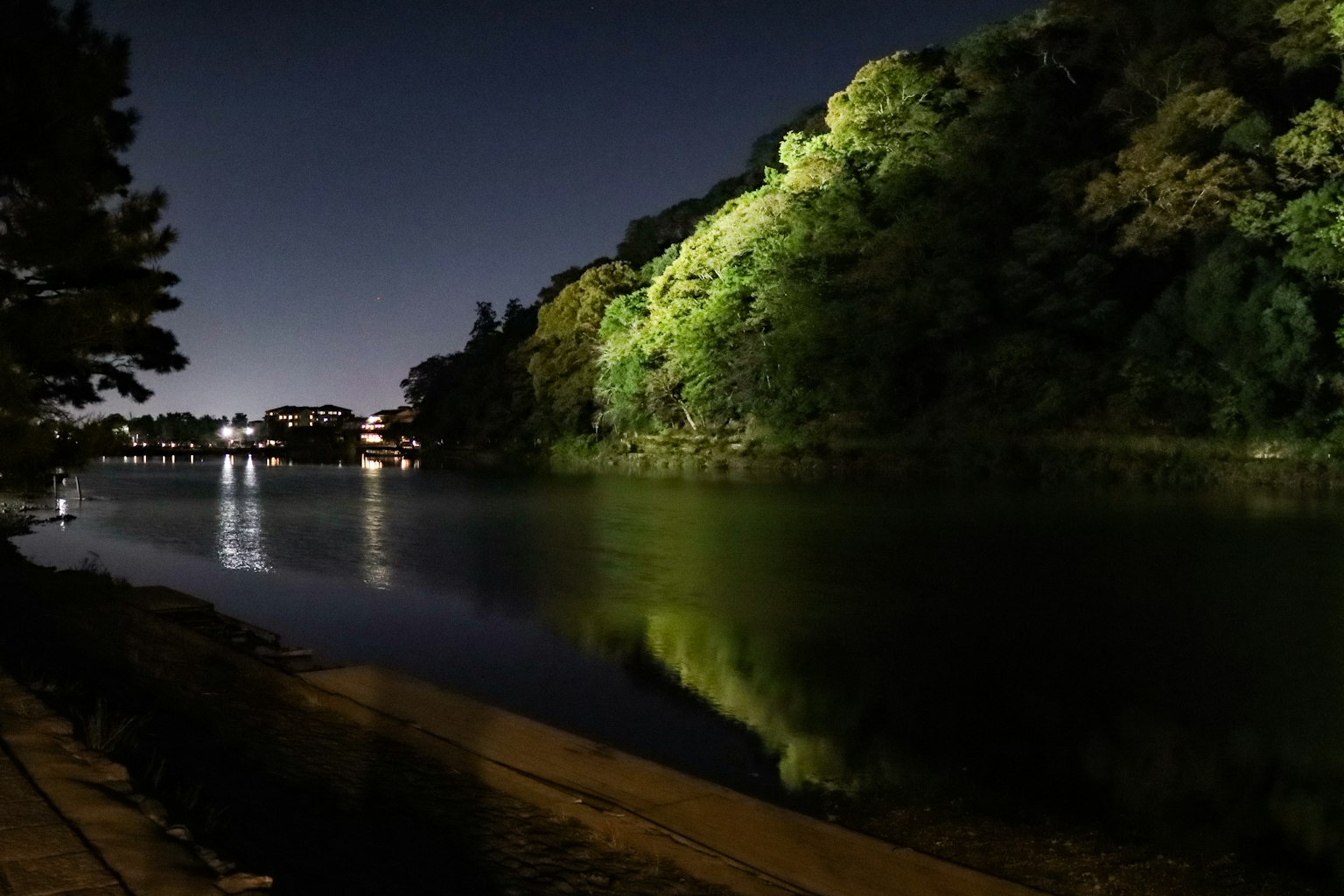 Scena tranquilla lungo il fiume di notte alberi verdi illuminati riflessi sull'acqua