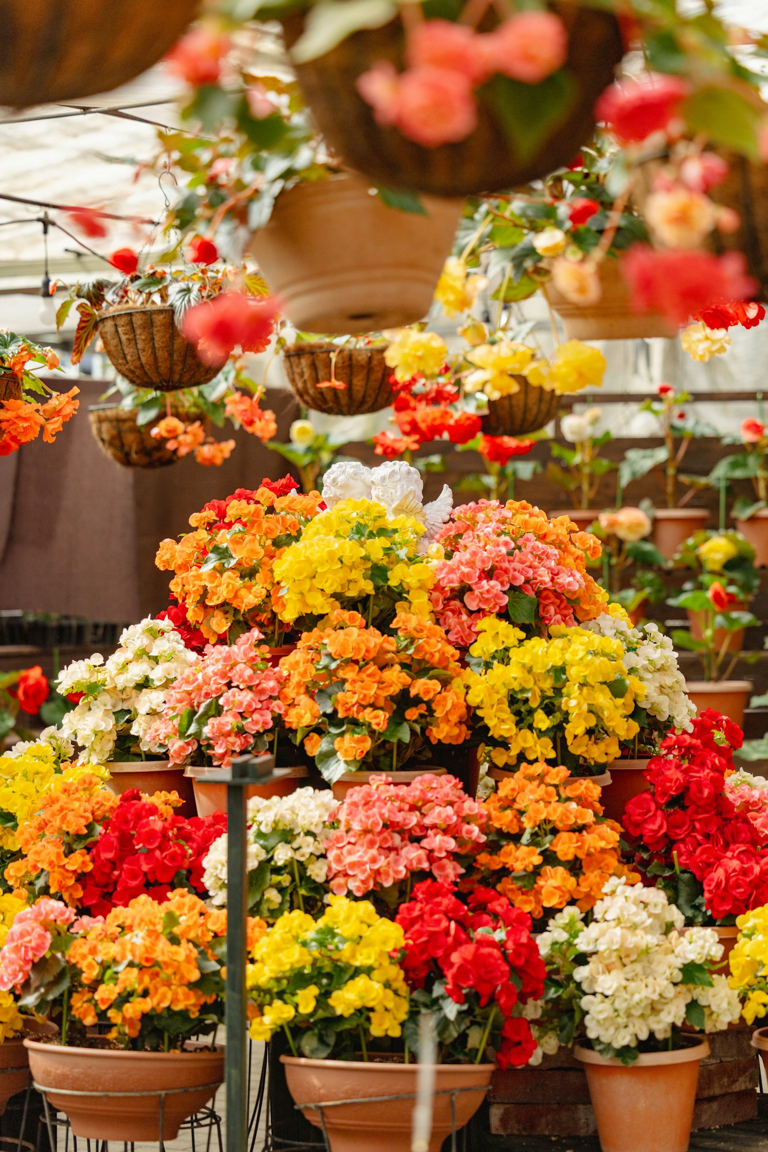 photo-yf8EqXAfbEo82WiCUfOe-image