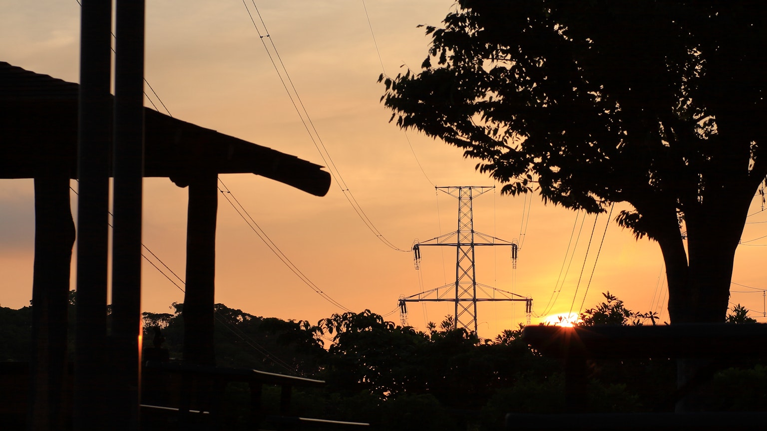 Silhouette di un albero e linee elettriche contro un cielo al tramonto