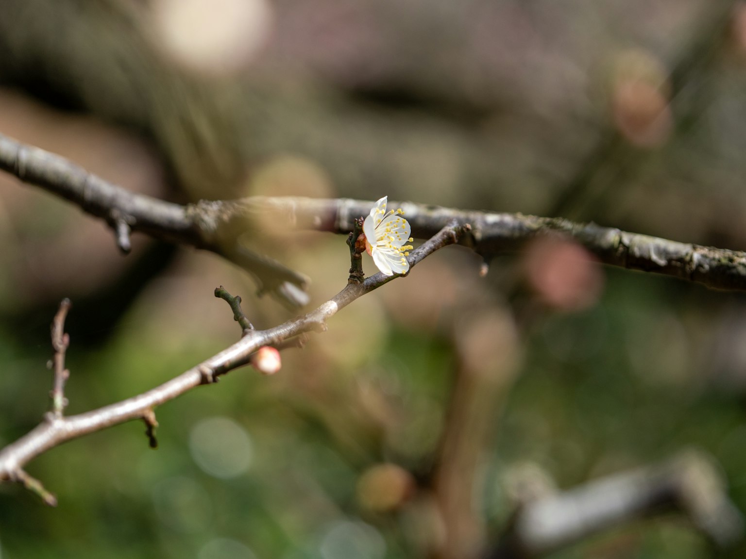 photo-yfWMwwsjqQ7ns8k71oT2-image