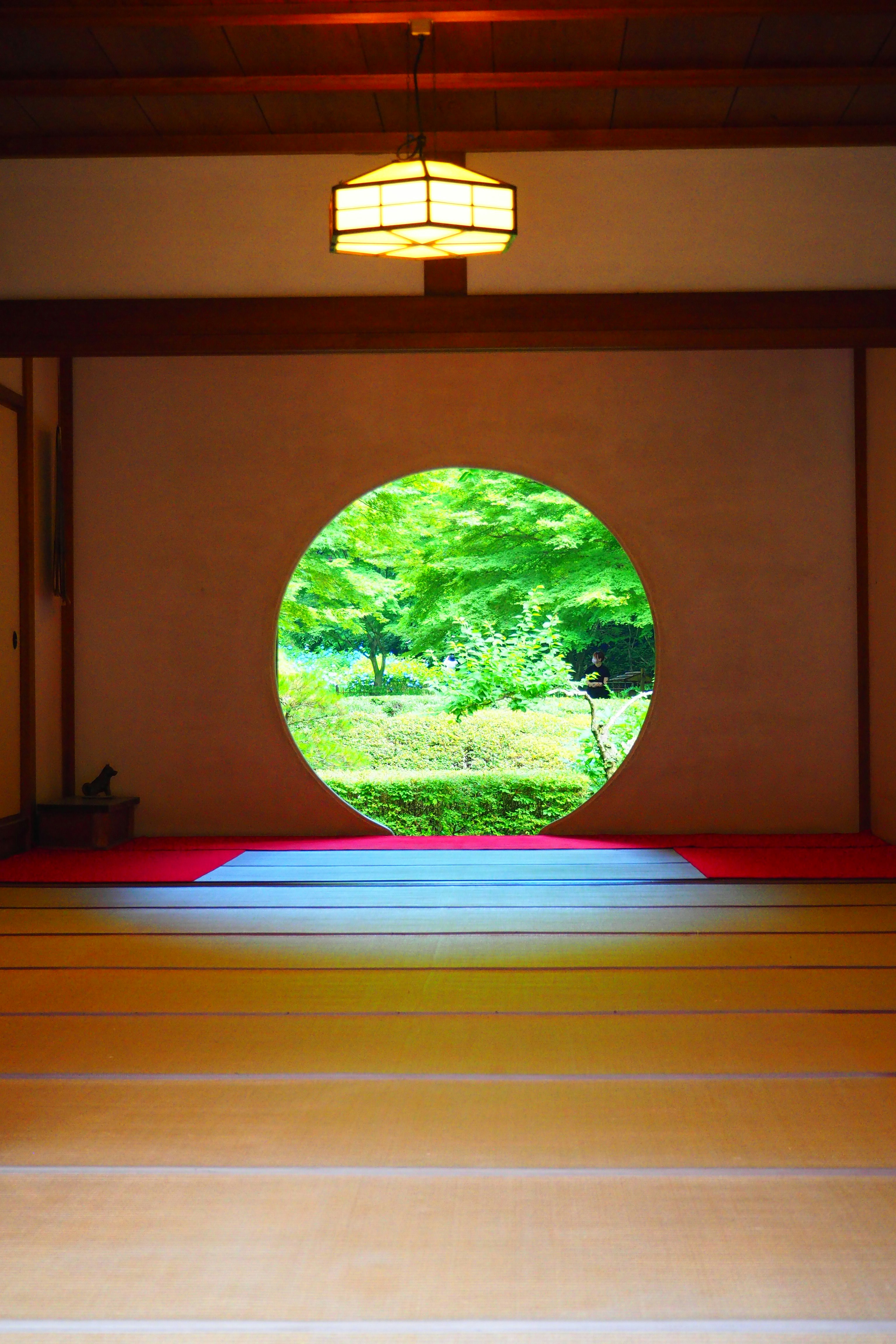 丸窓から見える緑の庭と畳の和室の内観